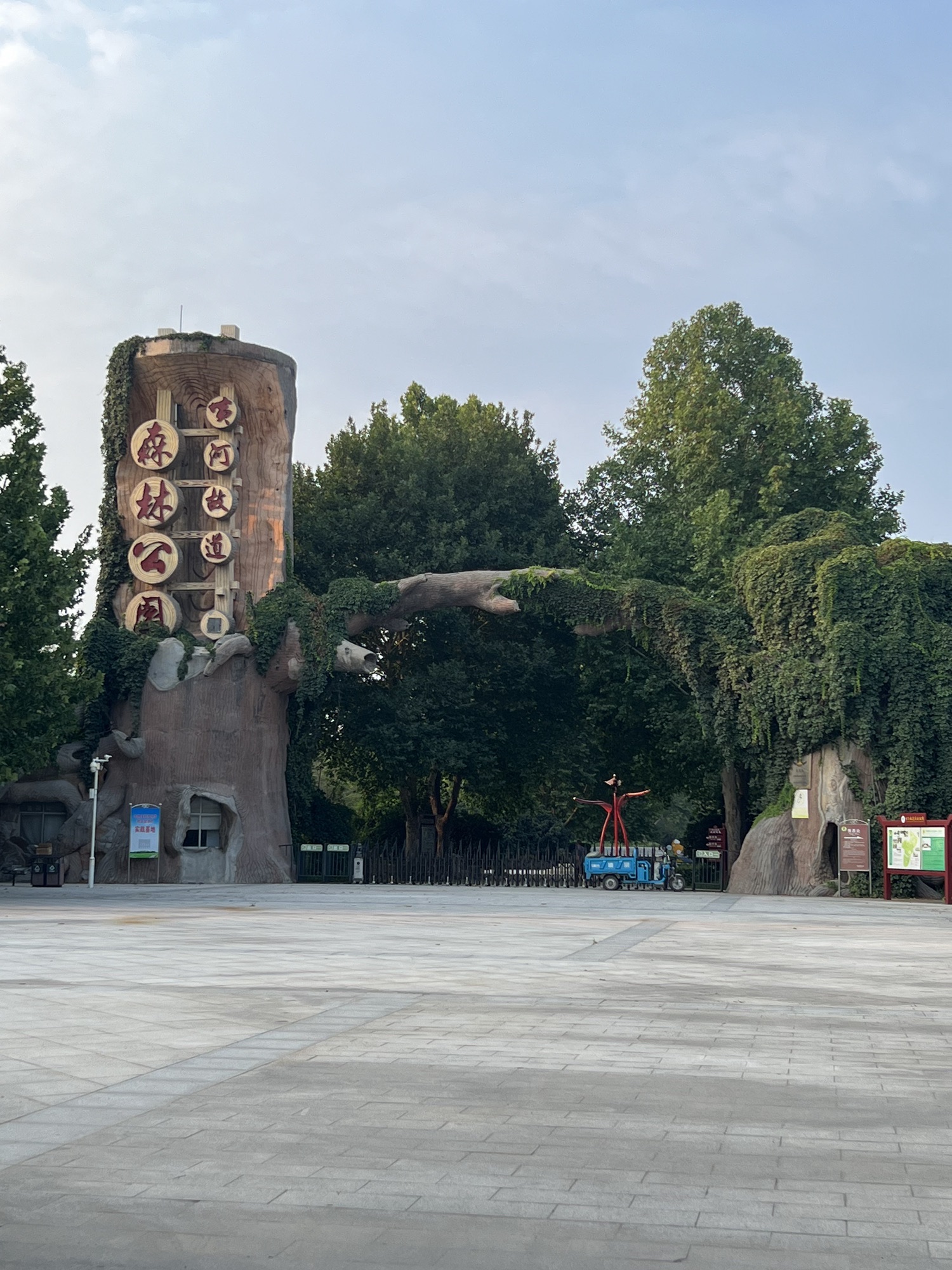 黄河故道森林公园旅行图片 1