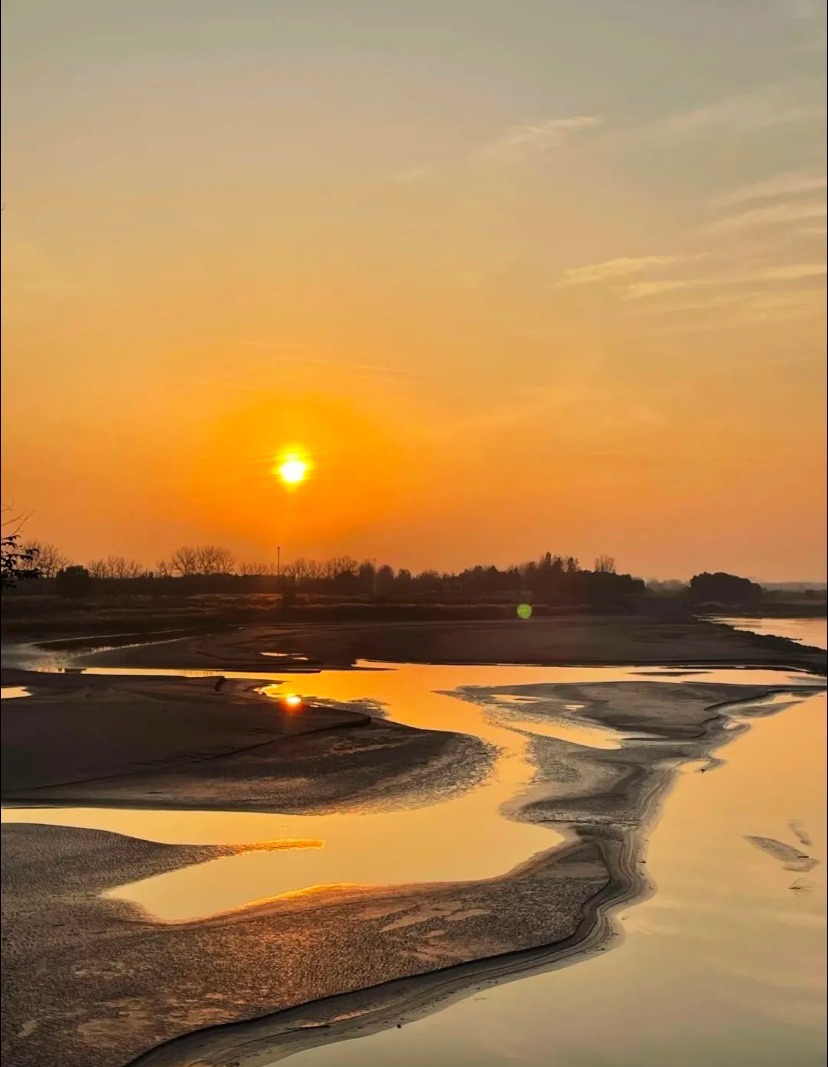 黄河湿地鸟类国家级自然保护区旅行图片 3