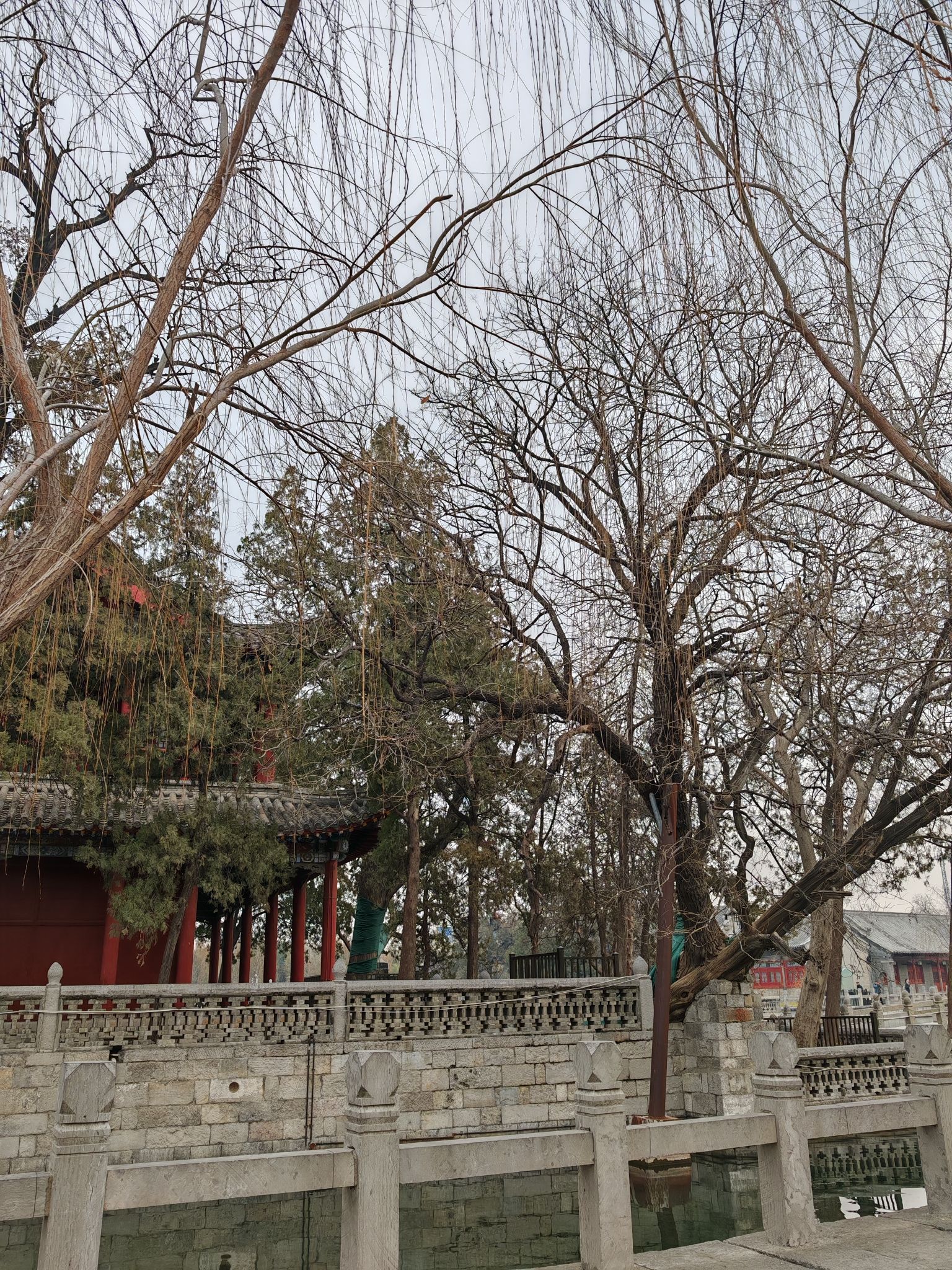百泉风景区旅行图片 3