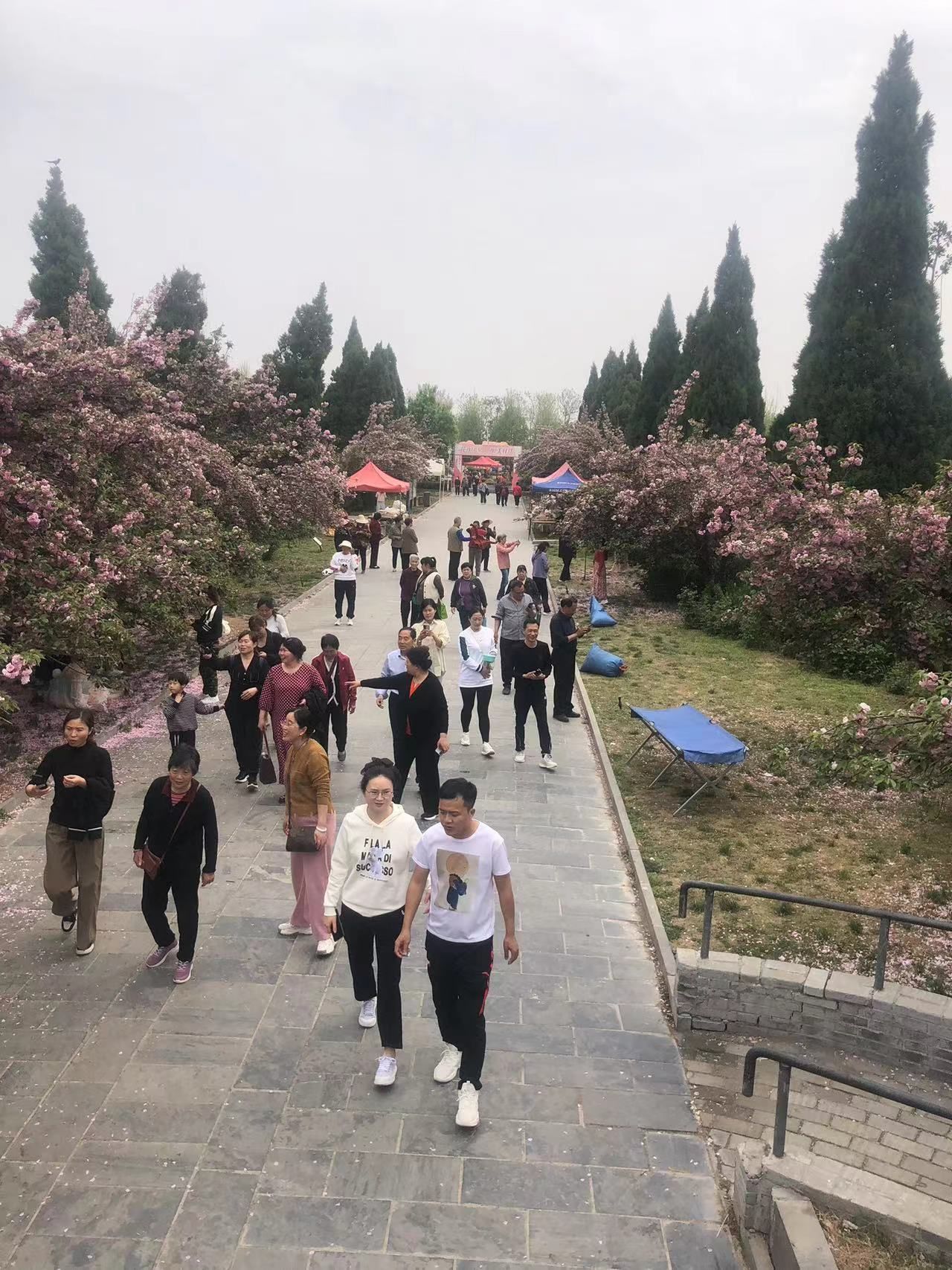 新乡潞王陵景区旅行图片 3