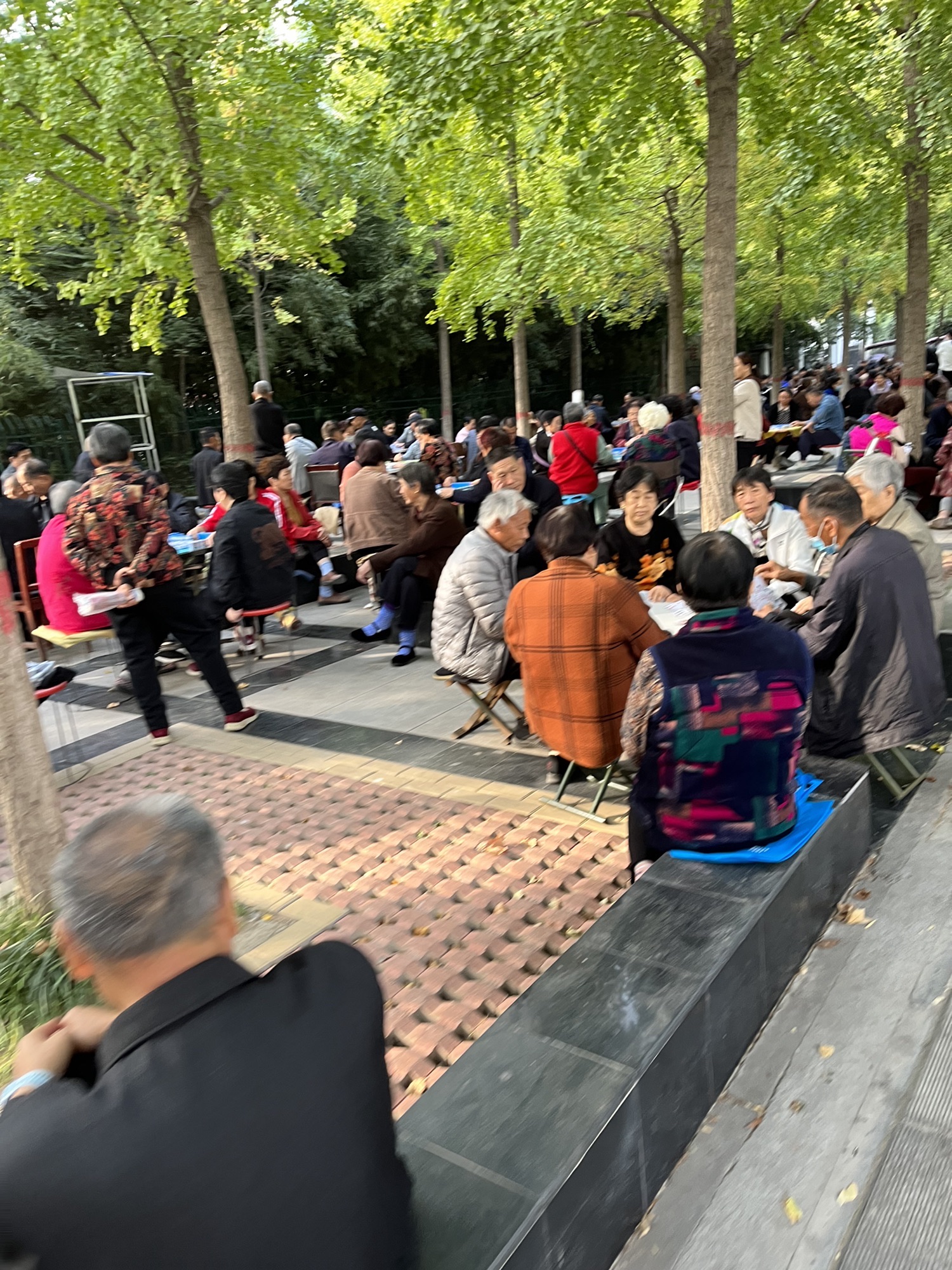 和谐公园旅行图片 3