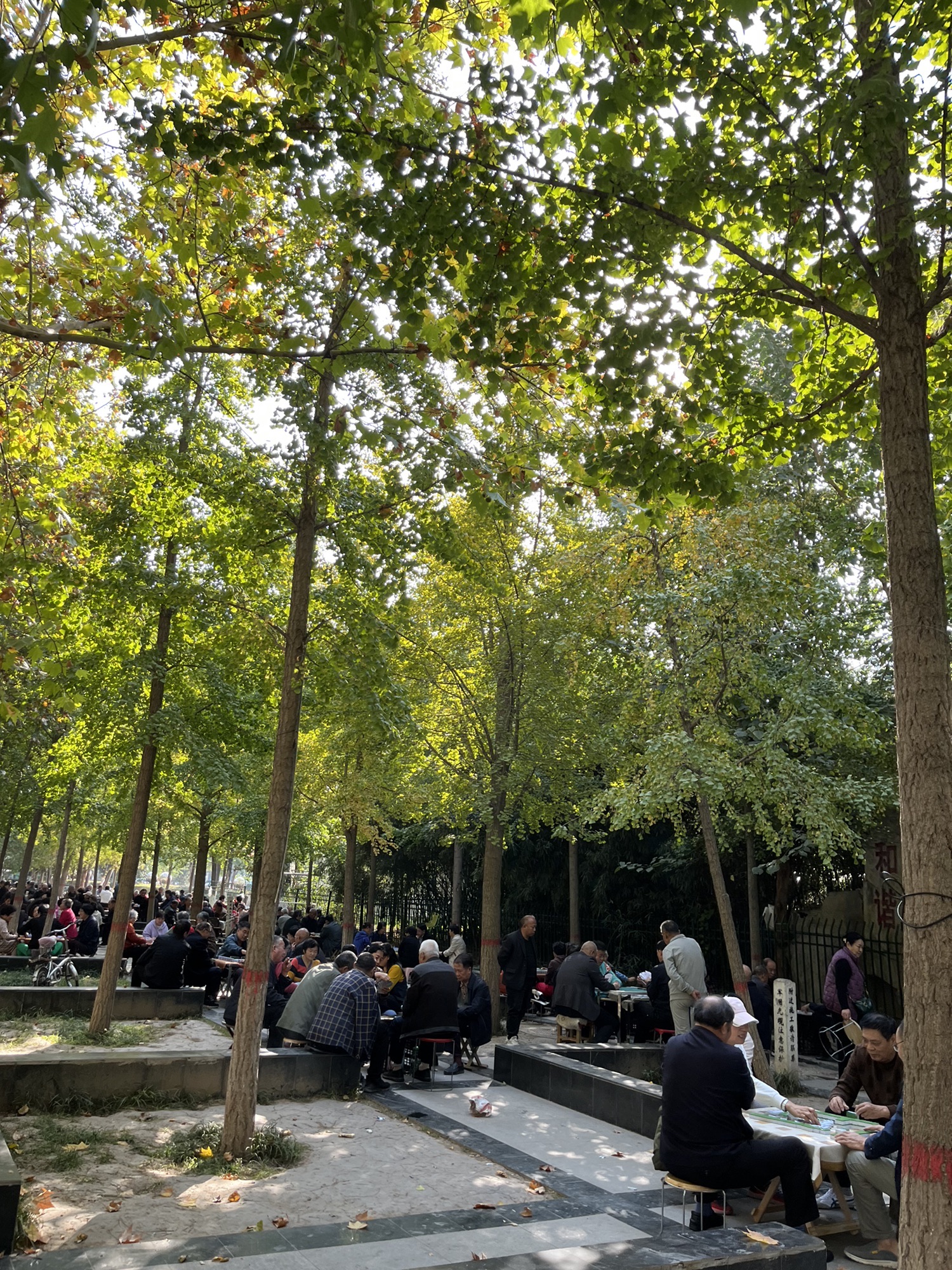 和谐公园旅行图片 1