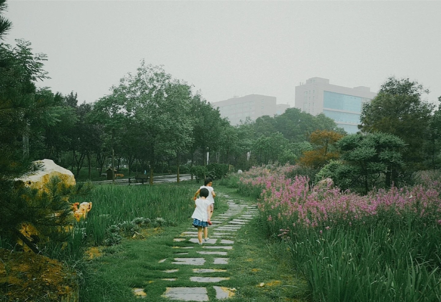 和谐公园旅行图片 3