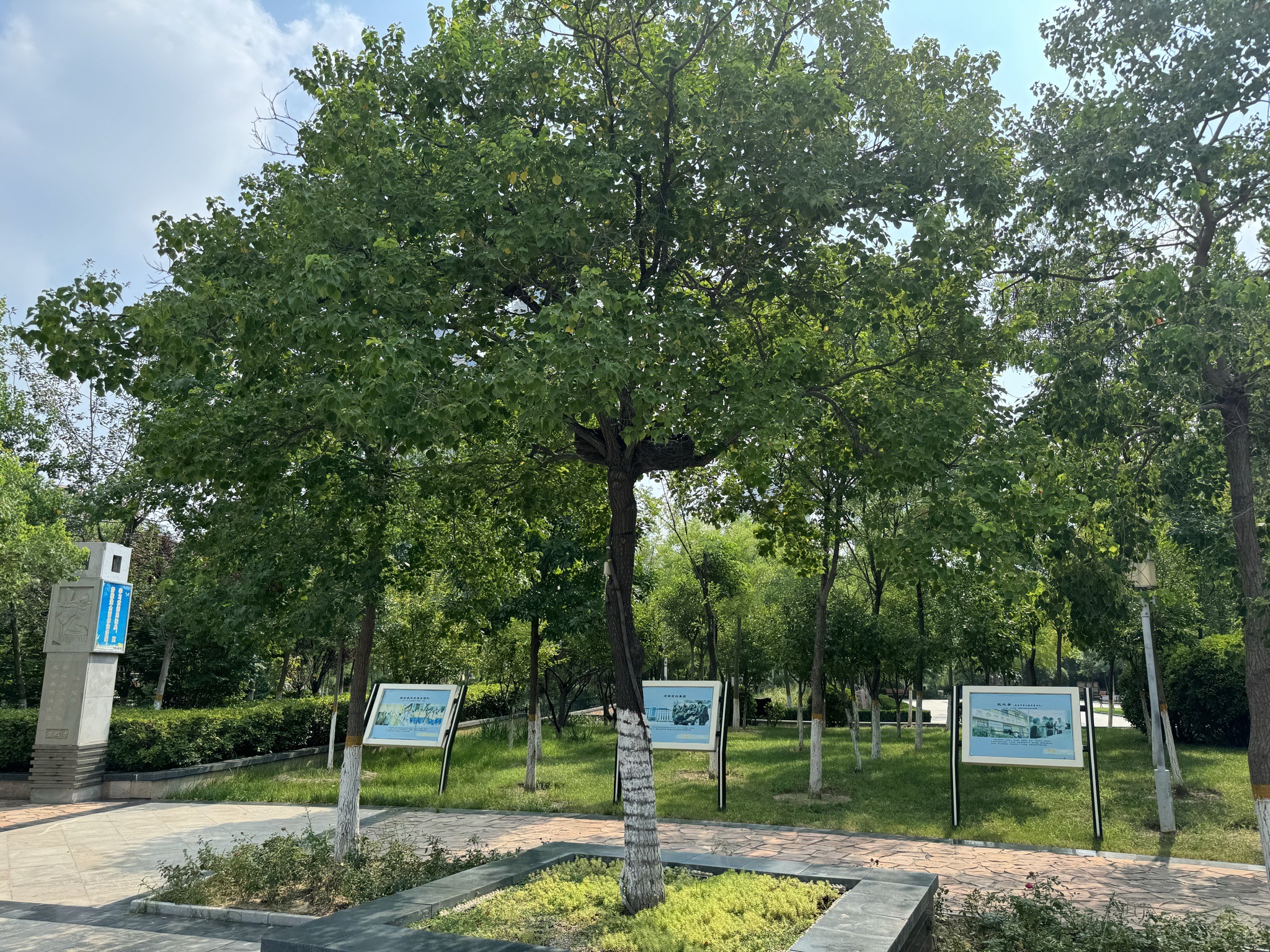 和谐公园旅行图片 3