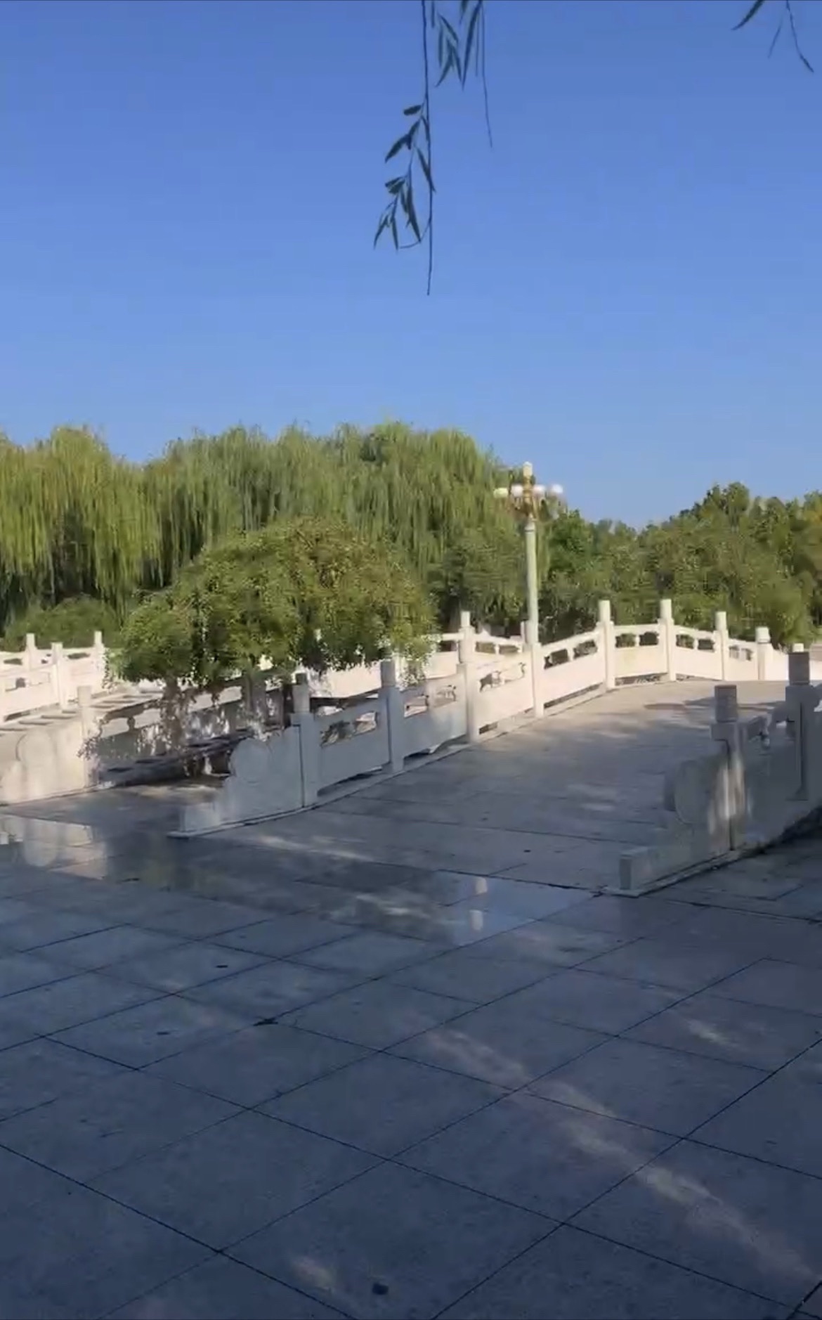 人民公园旅行图片 3