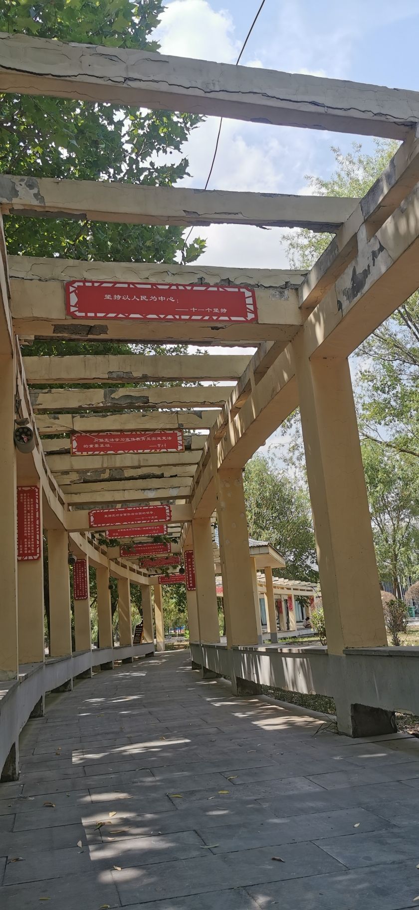 人民公园旅行图片 1
