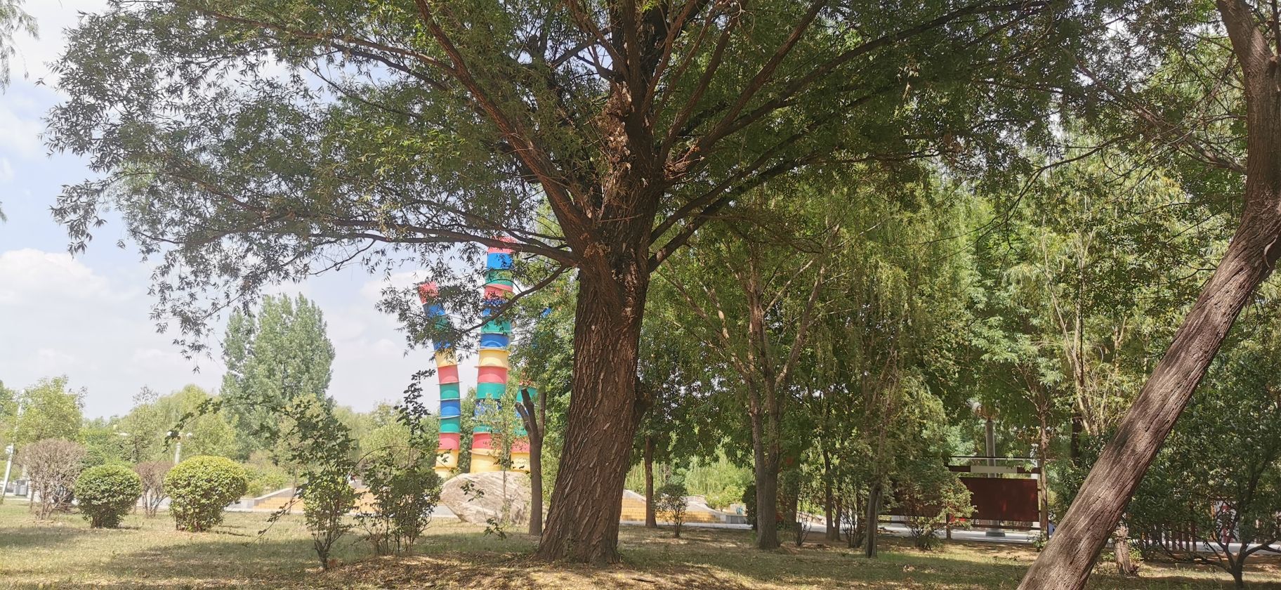 人民公园旅行图片 2