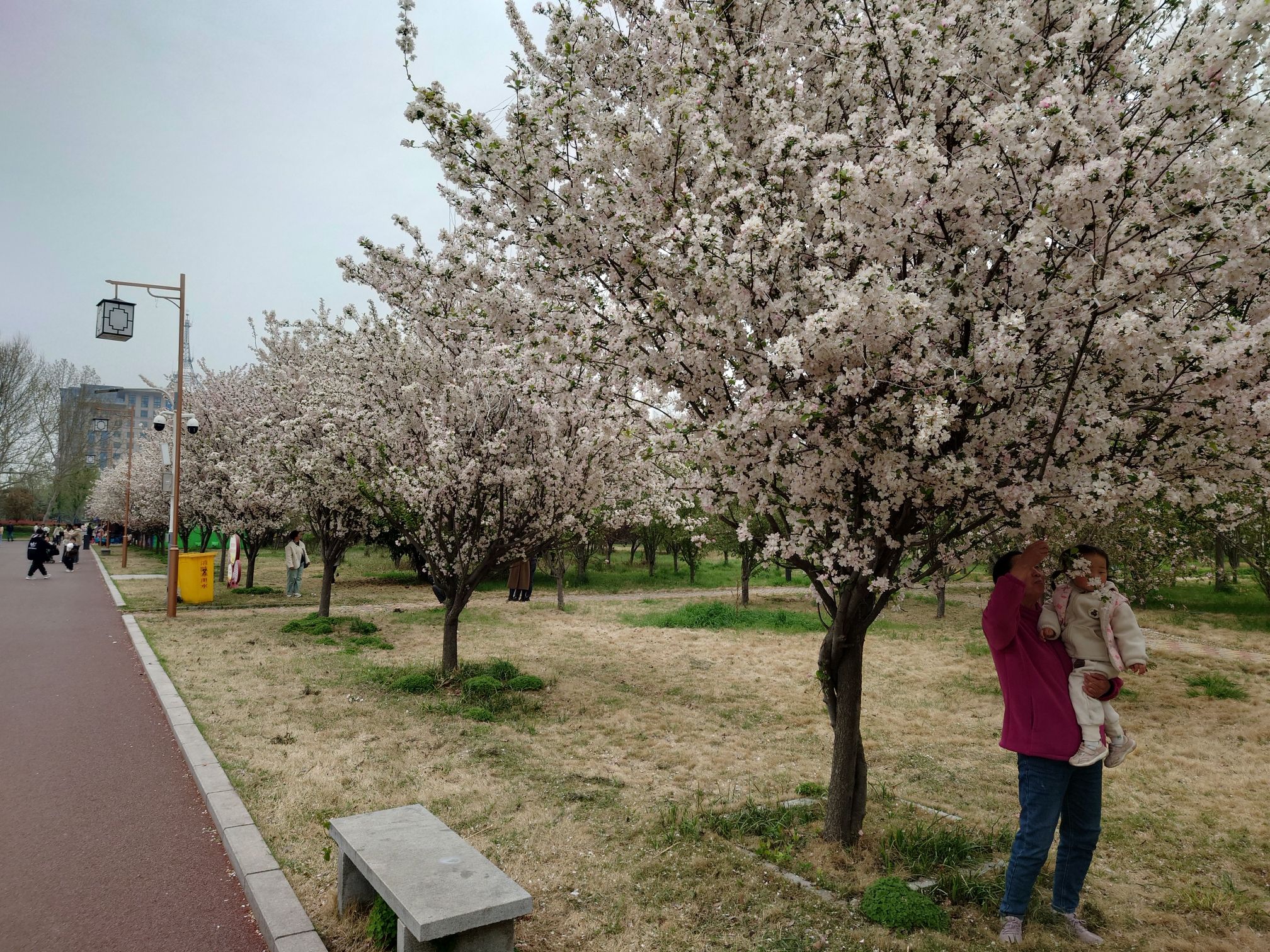 花博公园旅行图片 3