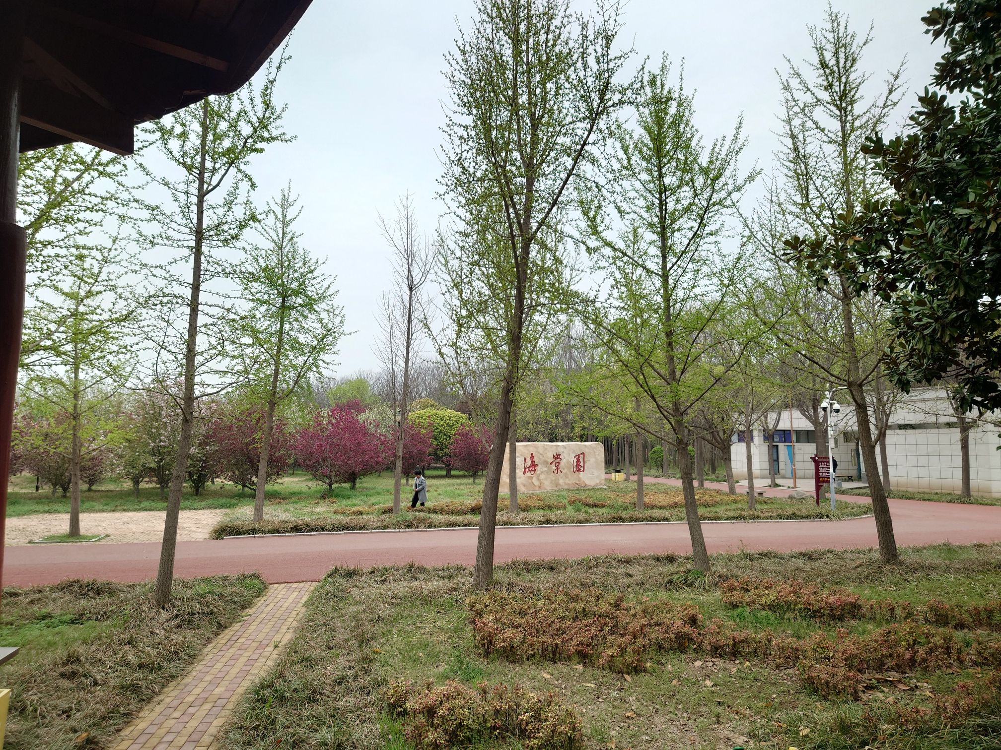 花博公园旅行图片 2