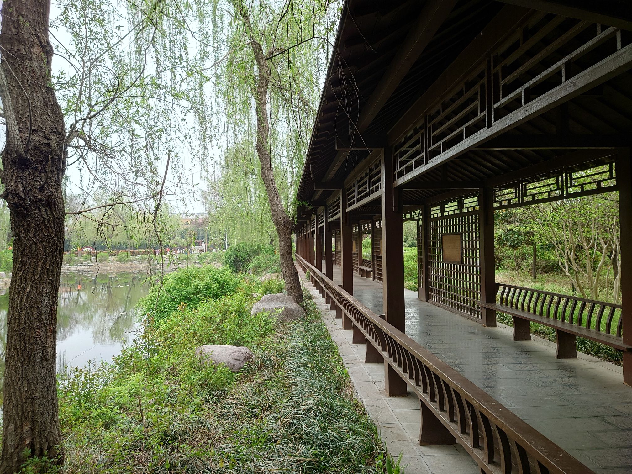 花博公园旅行图片 1