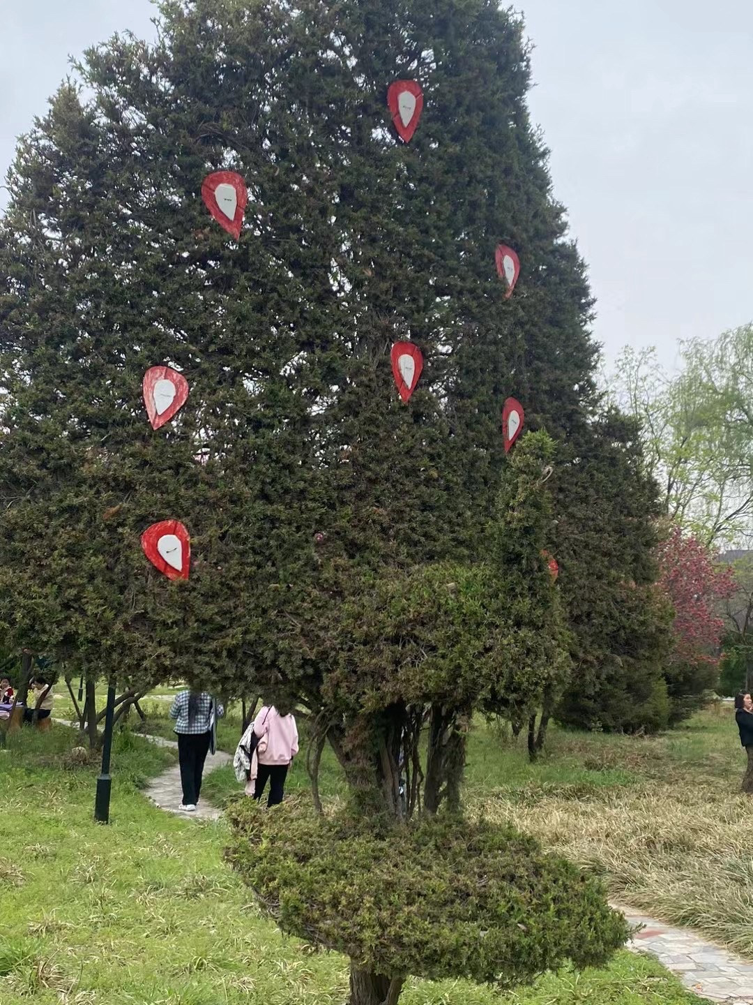 花博公园旅行图片 3