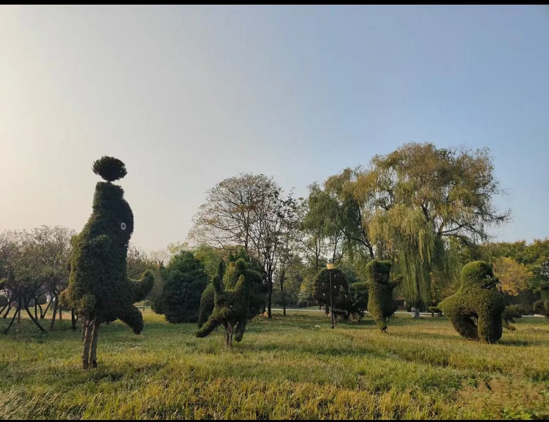 花博公园旅行图片 1