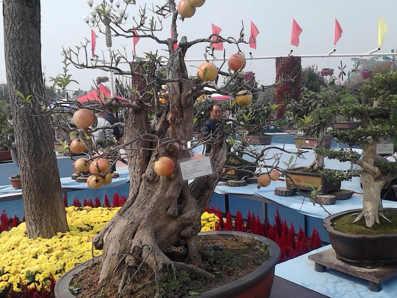 花博公园旅行图片 3