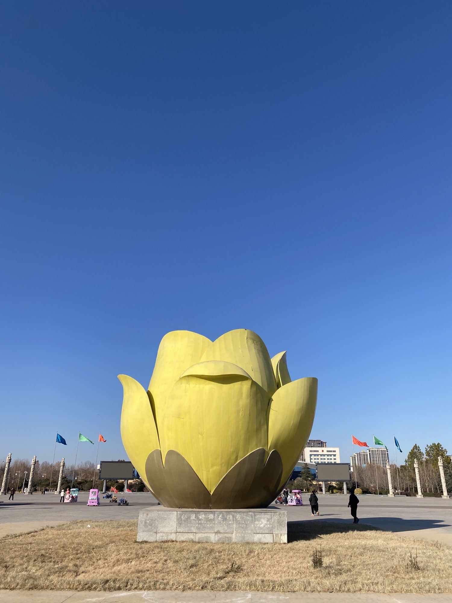 花博公园旅行图片 2