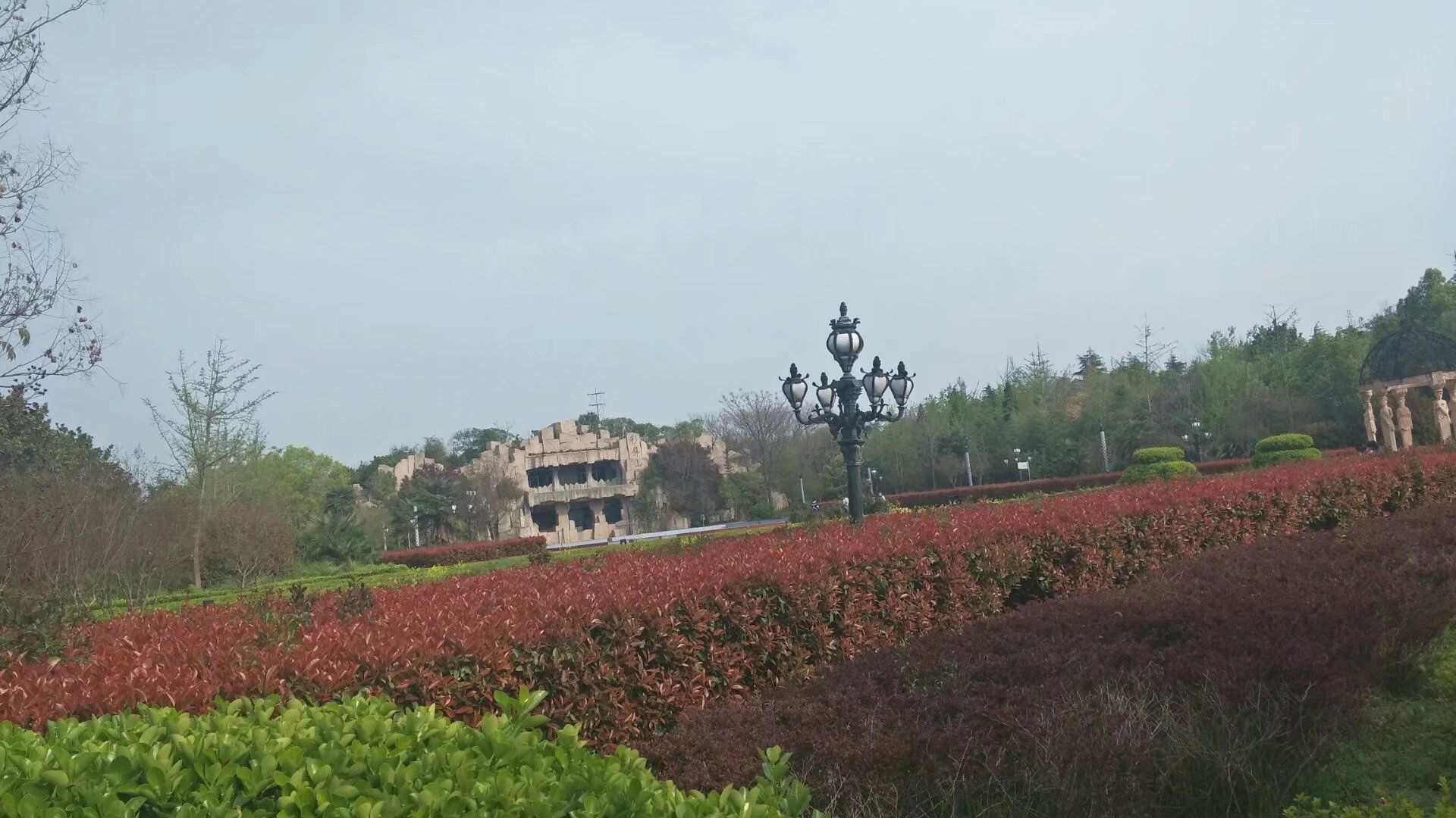 禹州森林植物园旅行图片 2
