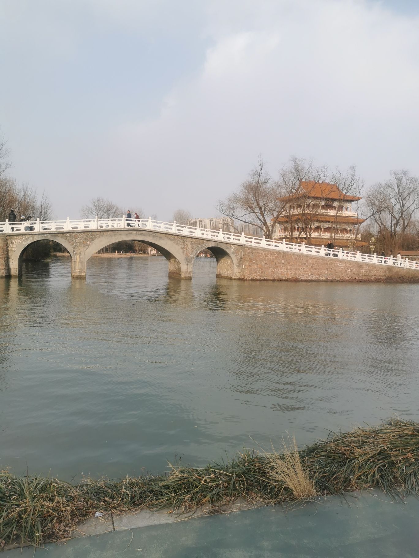 禹州森林植物园旅行图片 2