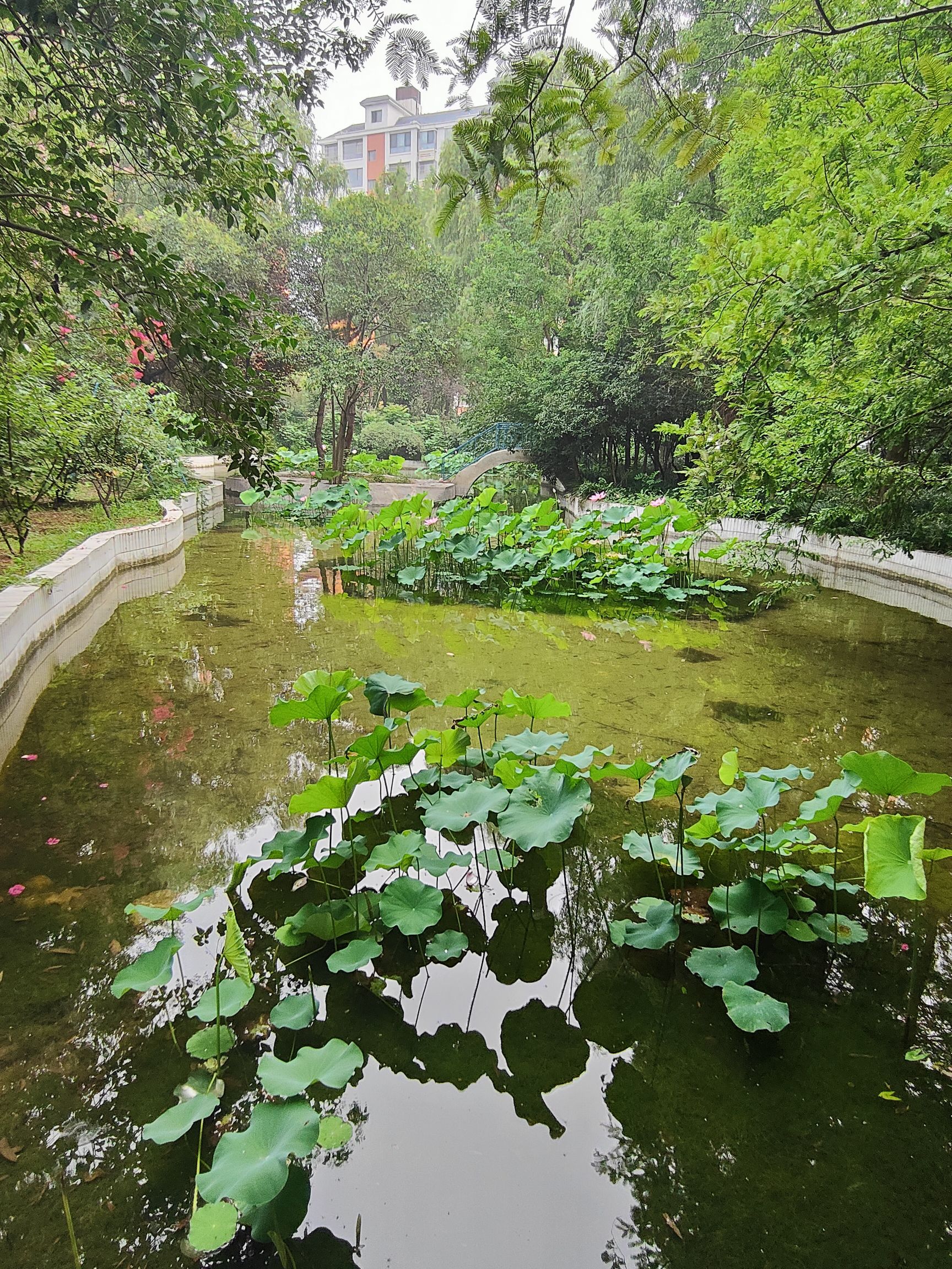 禹州森林植物园旅行图片 2