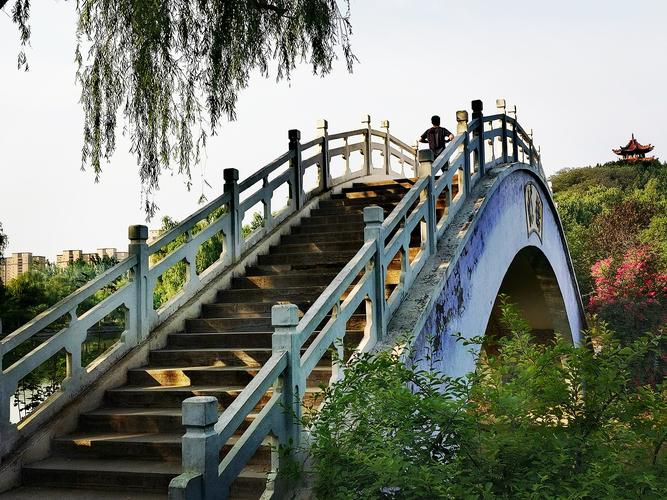 禹州森林植物园旅行图片 3