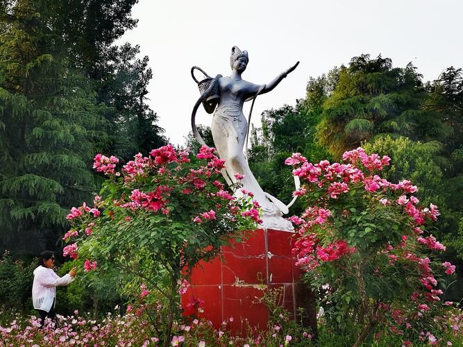 禹州森林植物园旅行图片 1