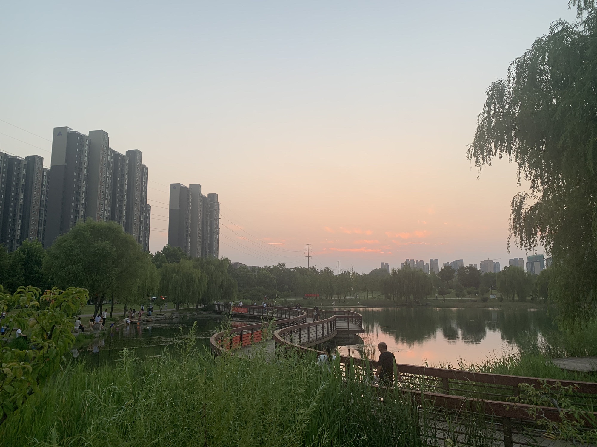 禹州森林植物园旅行图片 3