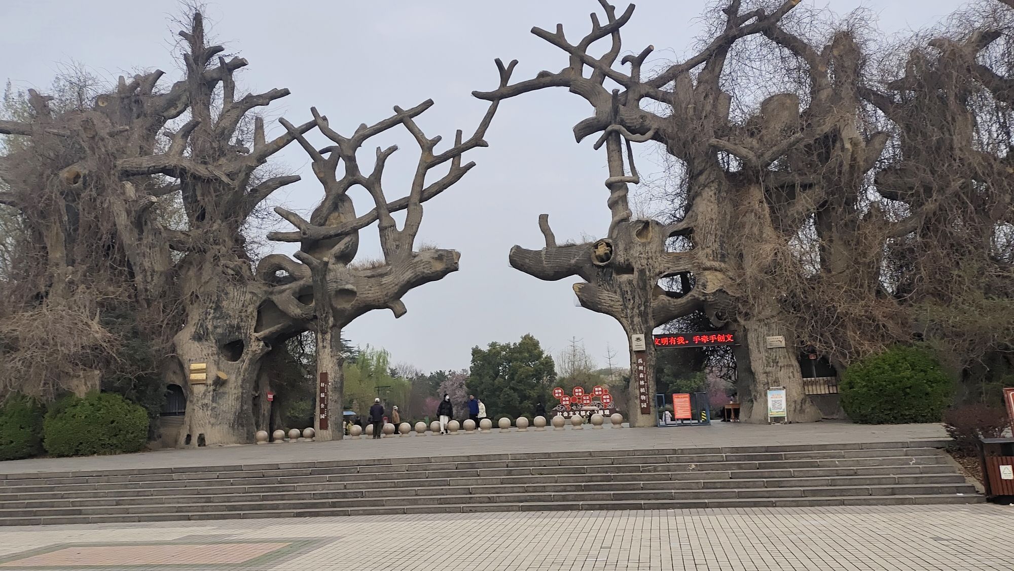 禹州森林植物园旅行图片 1