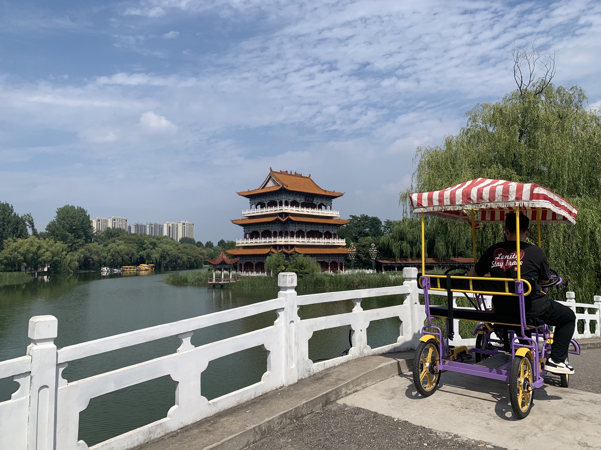 禹州森林植物园旅行图片 2