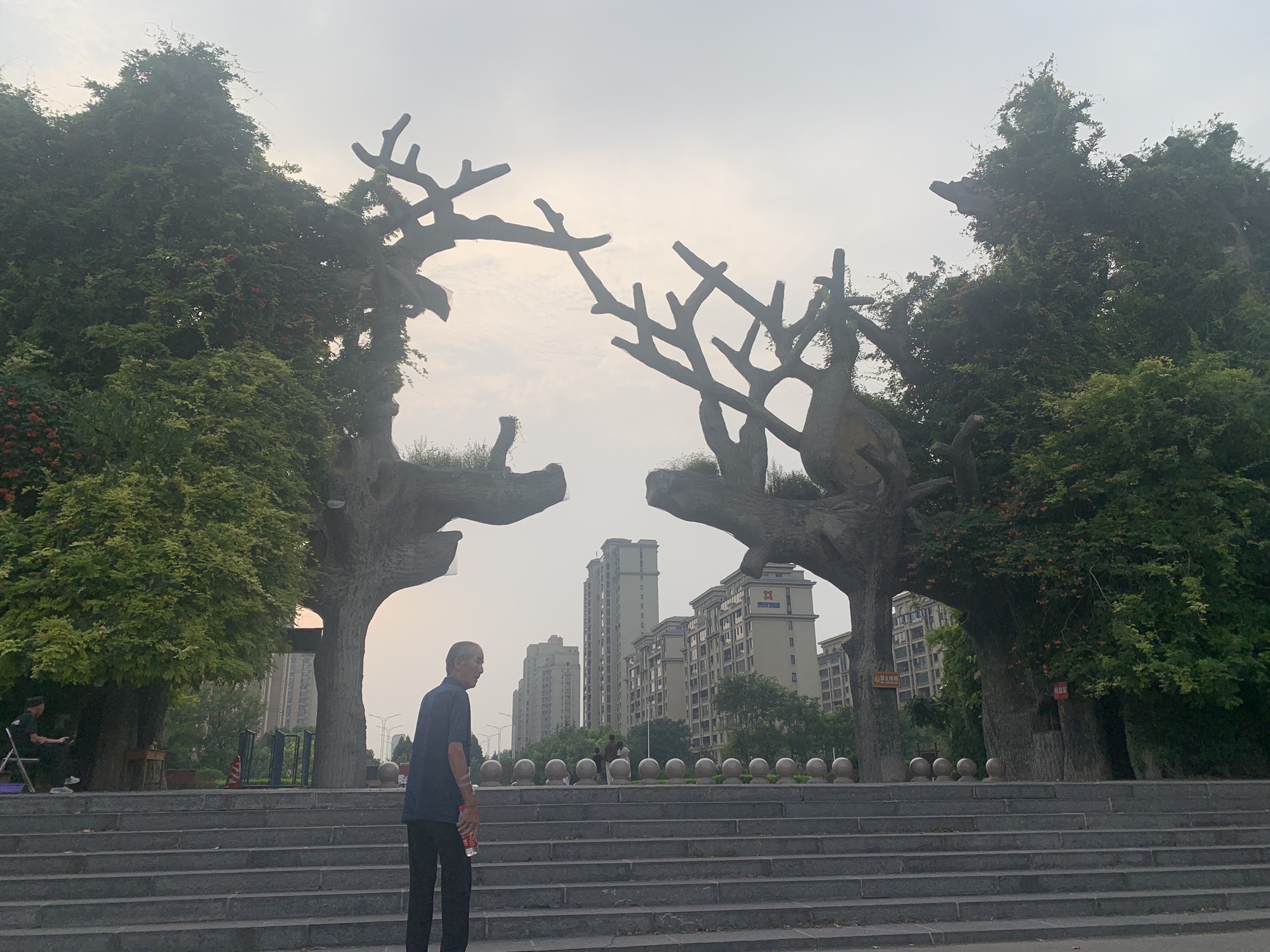 禹州森林植物园旅行图片 1