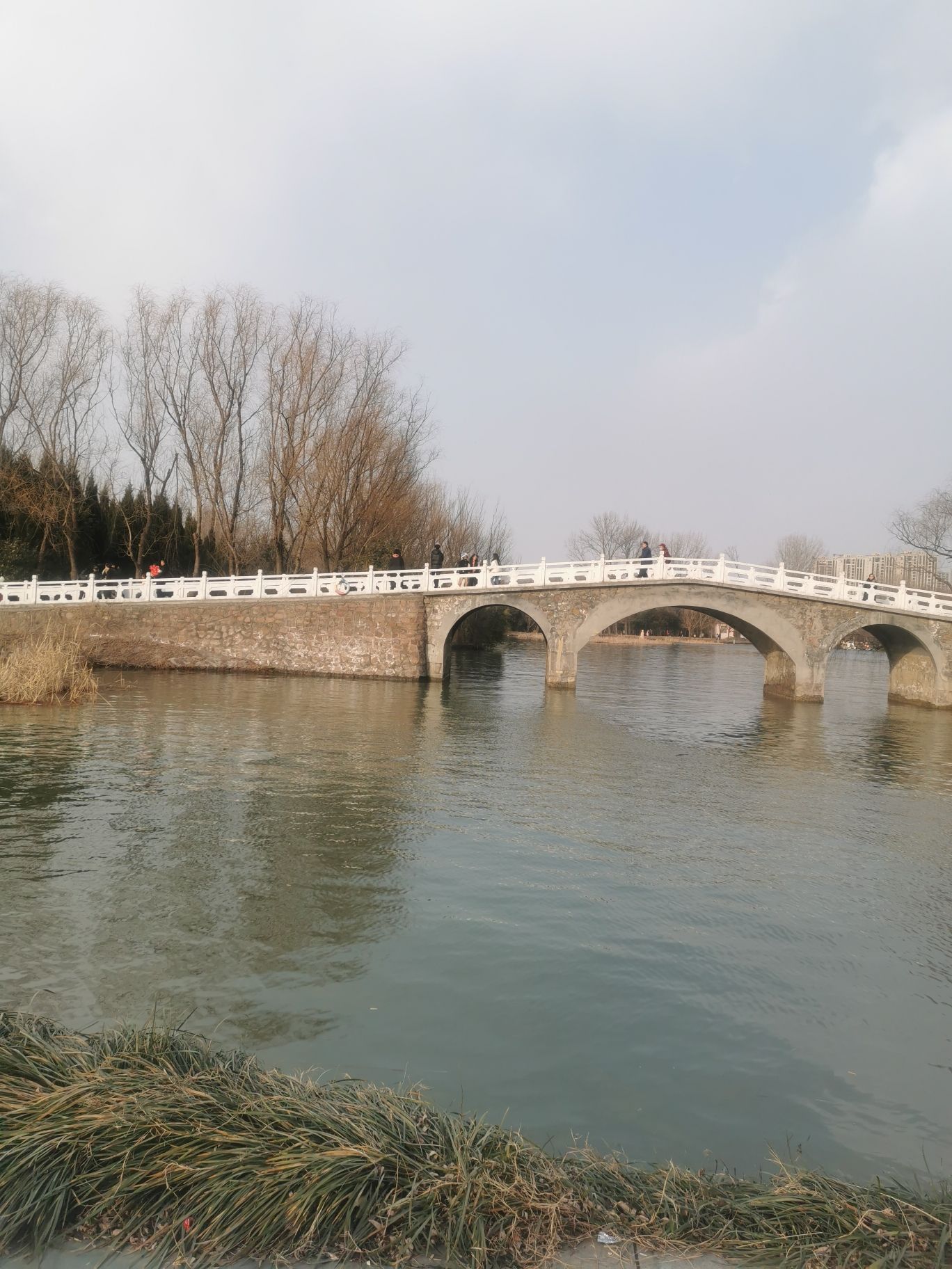 禹州森林植物园旅行图片 1