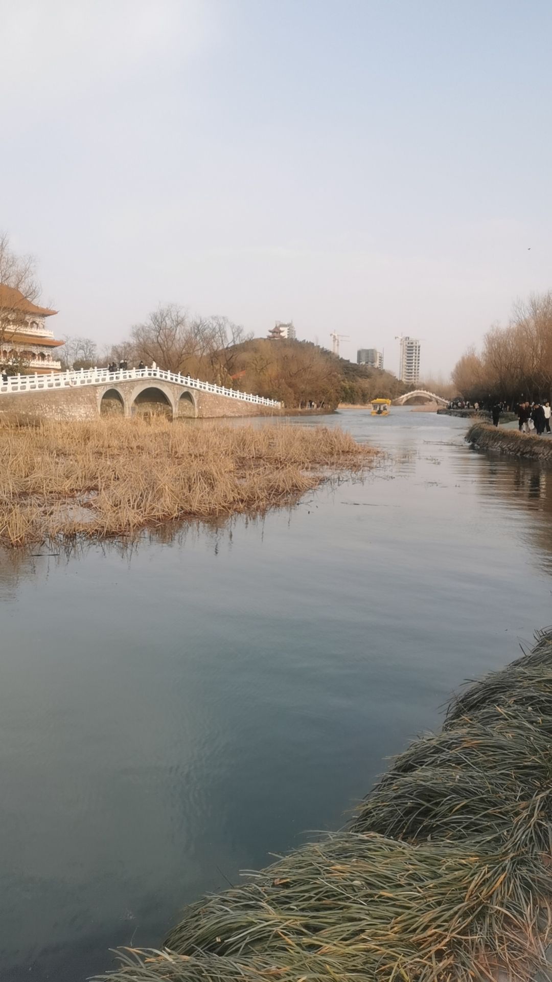禹州森林植物园旅行图片 3
