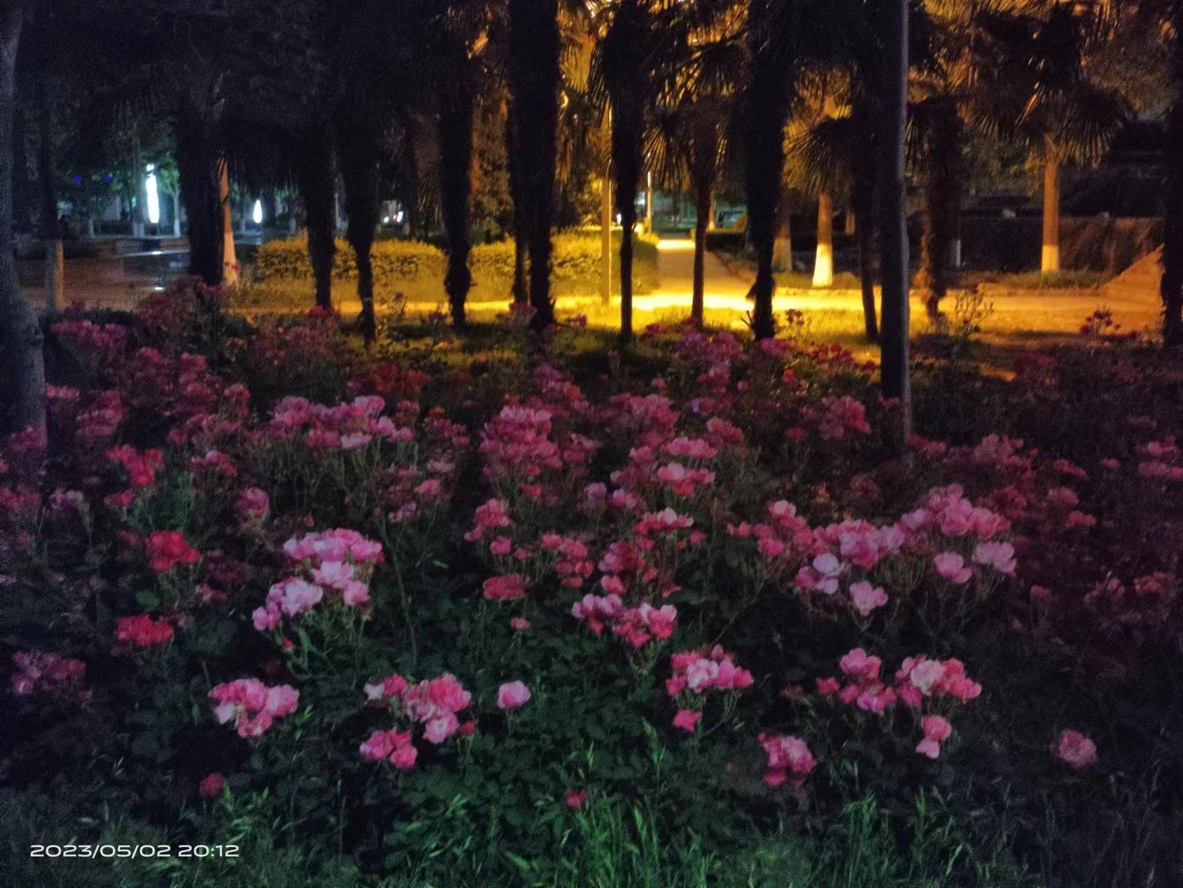 许都公园旅行图片 3