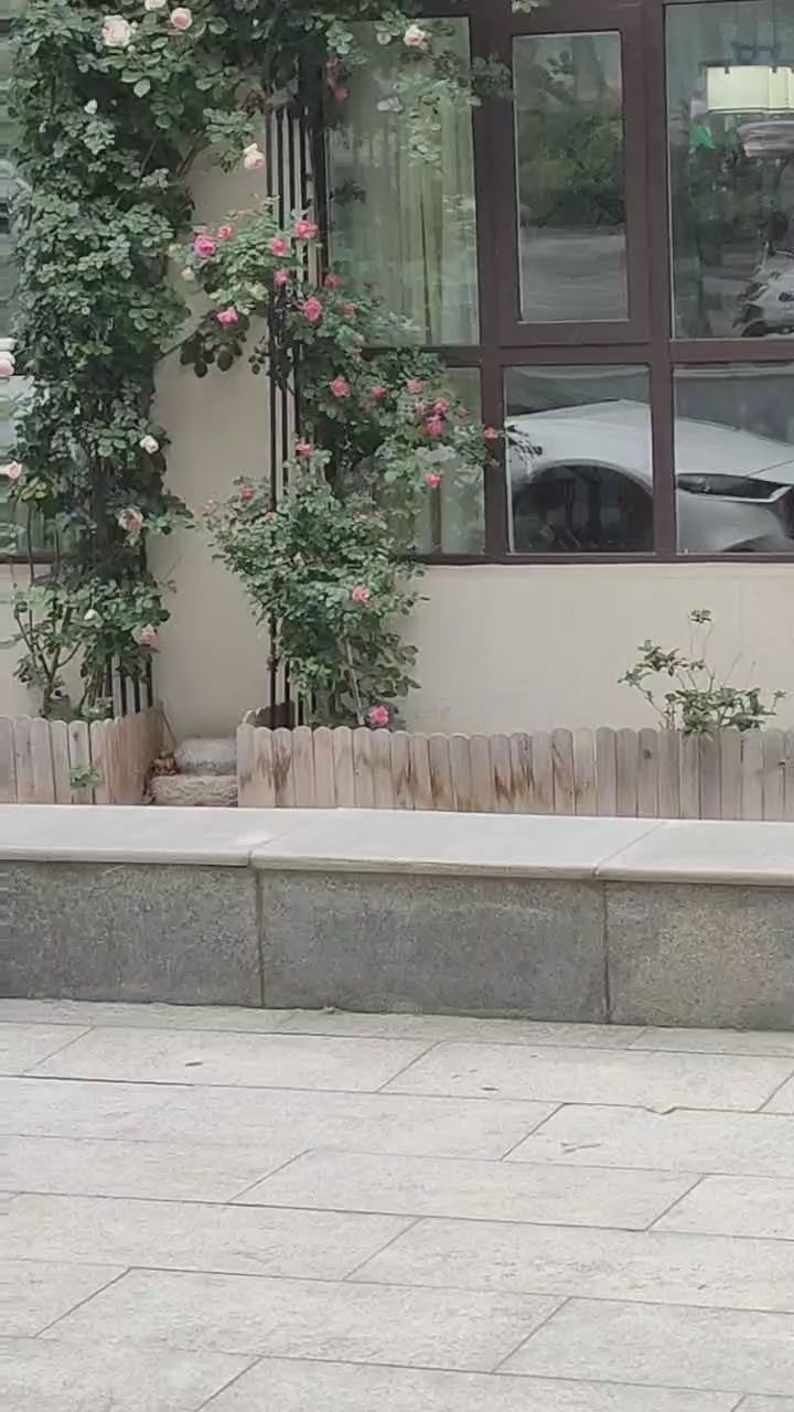 许都公园旅行图片 1