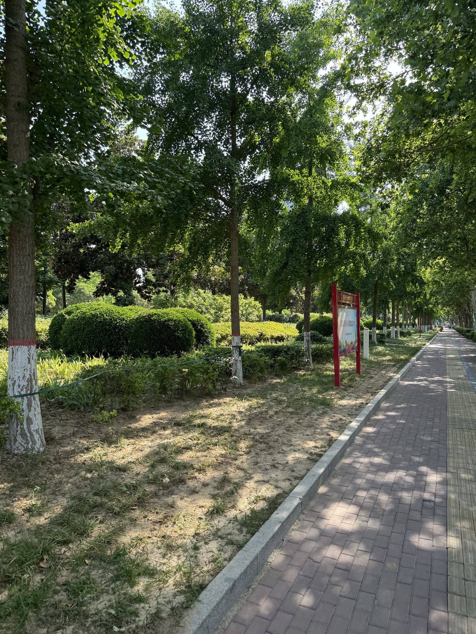 许都公园旅行图片 3