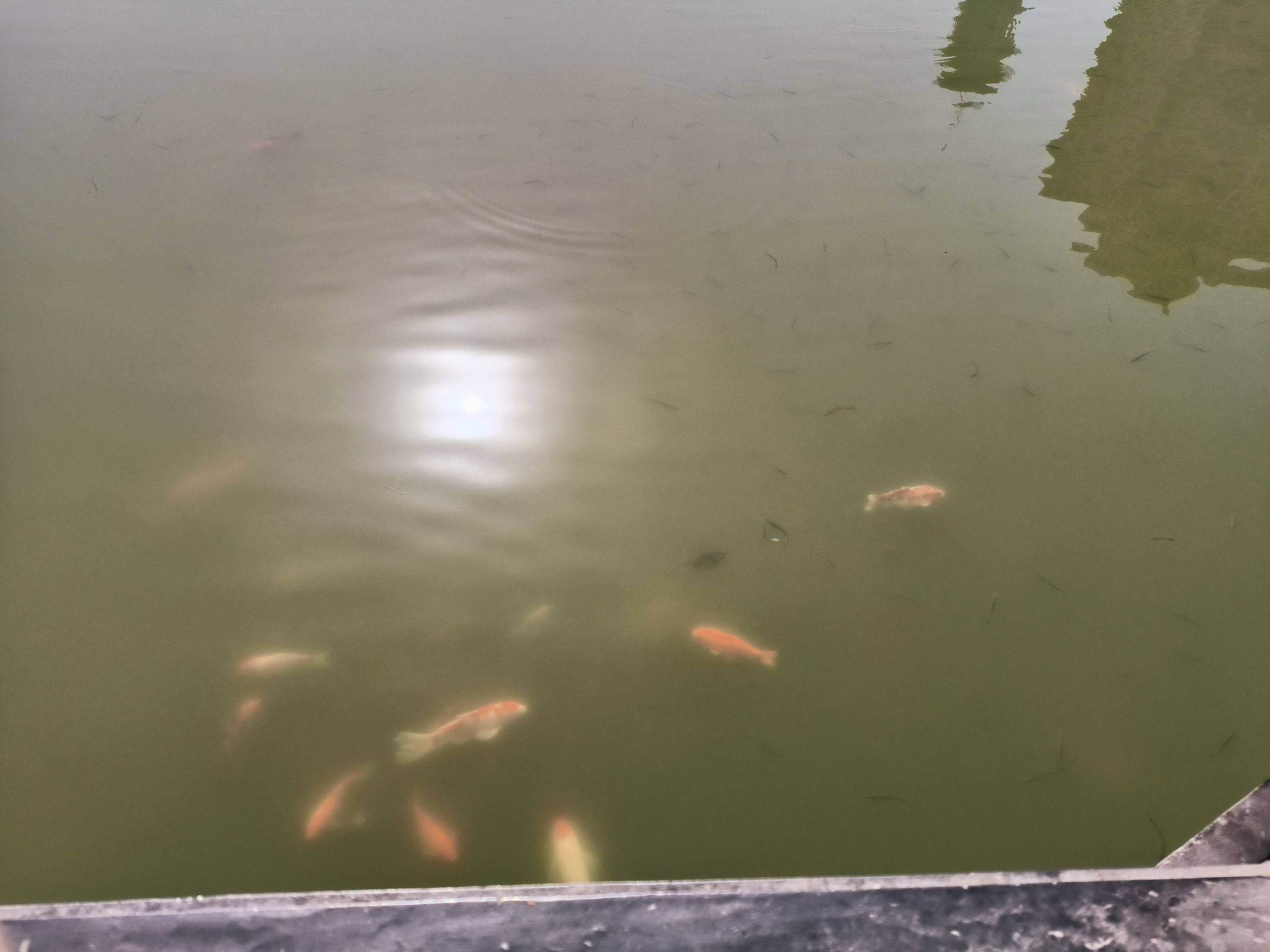 双龙湖旅行图片 1