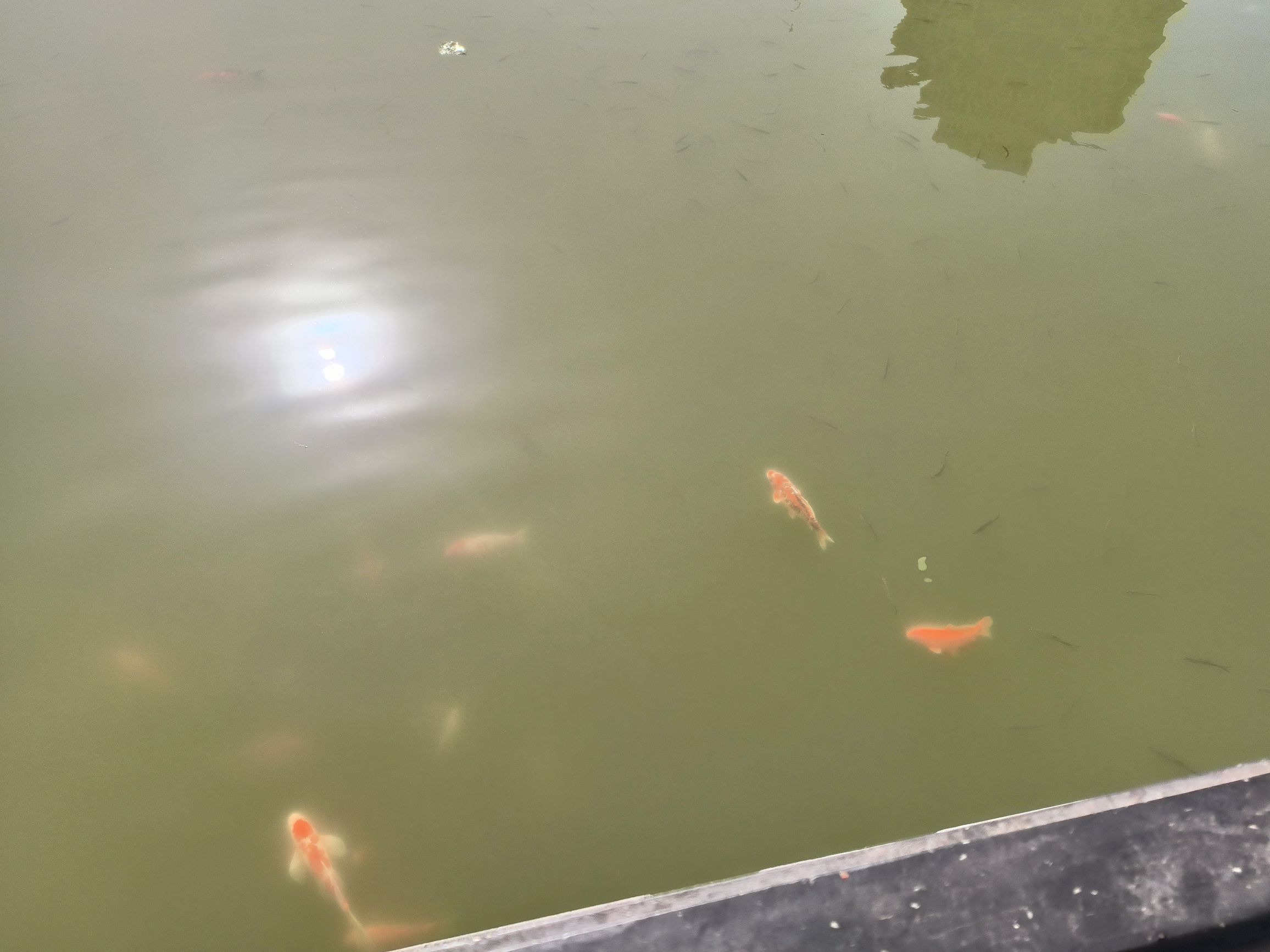双龙湖旅行图片 2