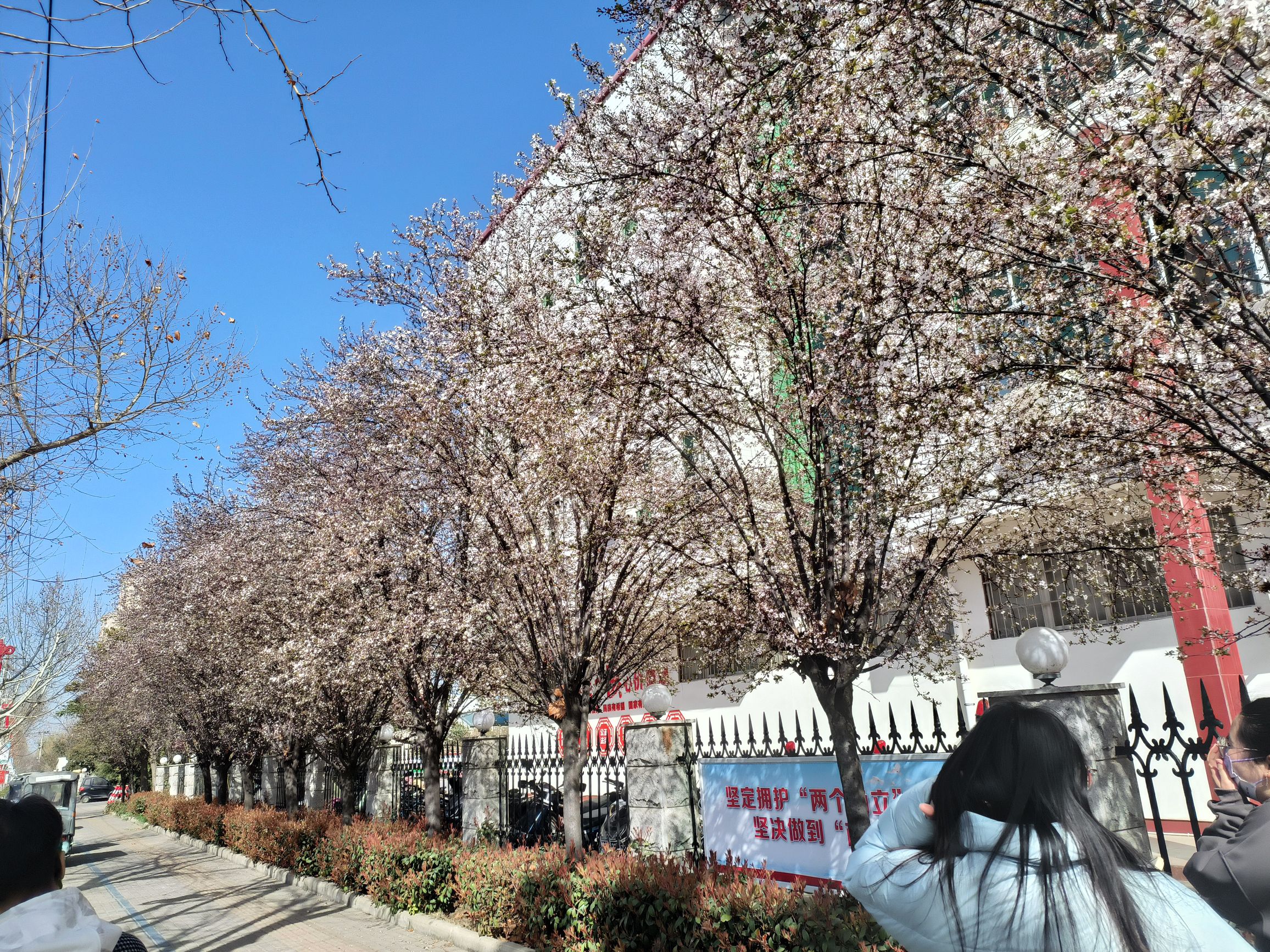 双龙湖旅行图片 3