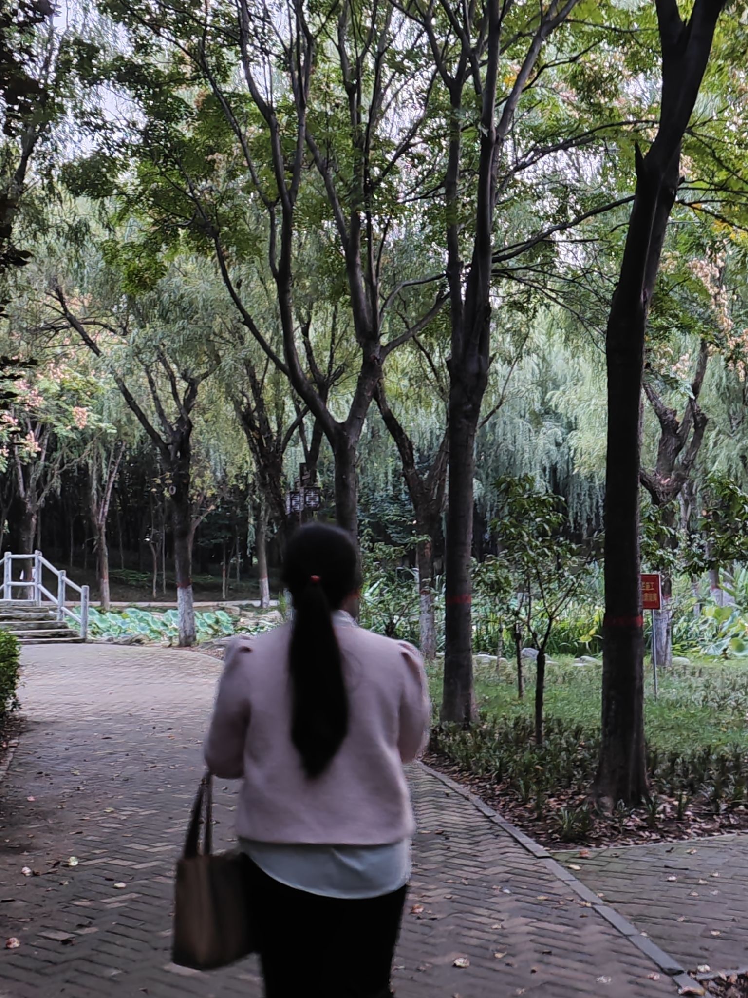 贵妃苑旅行图片 1