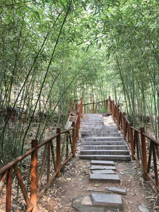大鸿寨景区旅行图片 2