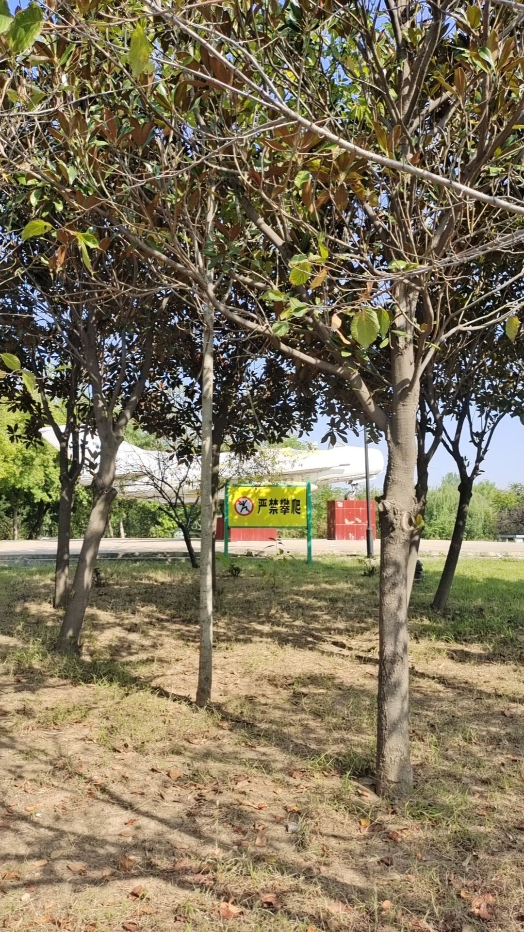 襄城公园旅行图片 3