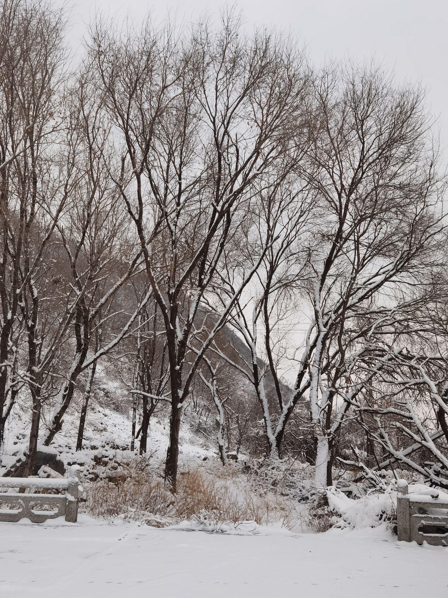 平顶山山顶公园旅行图片 2