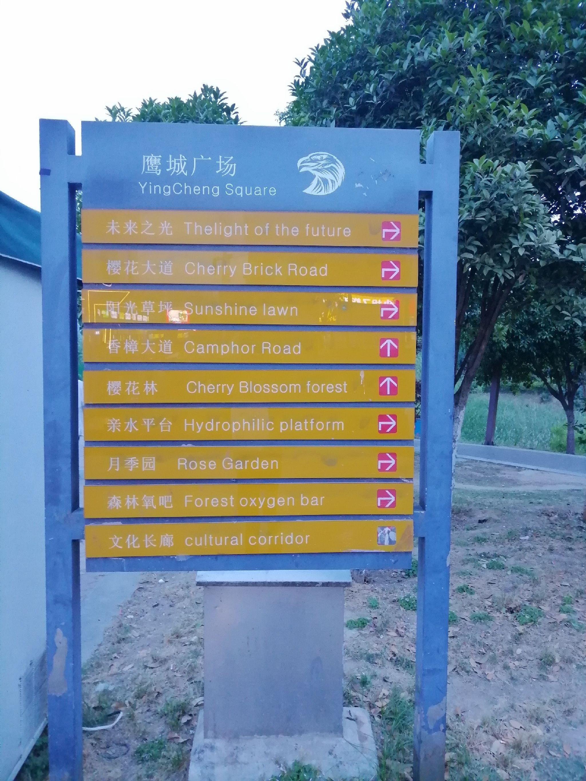 鹰城广场景点图片