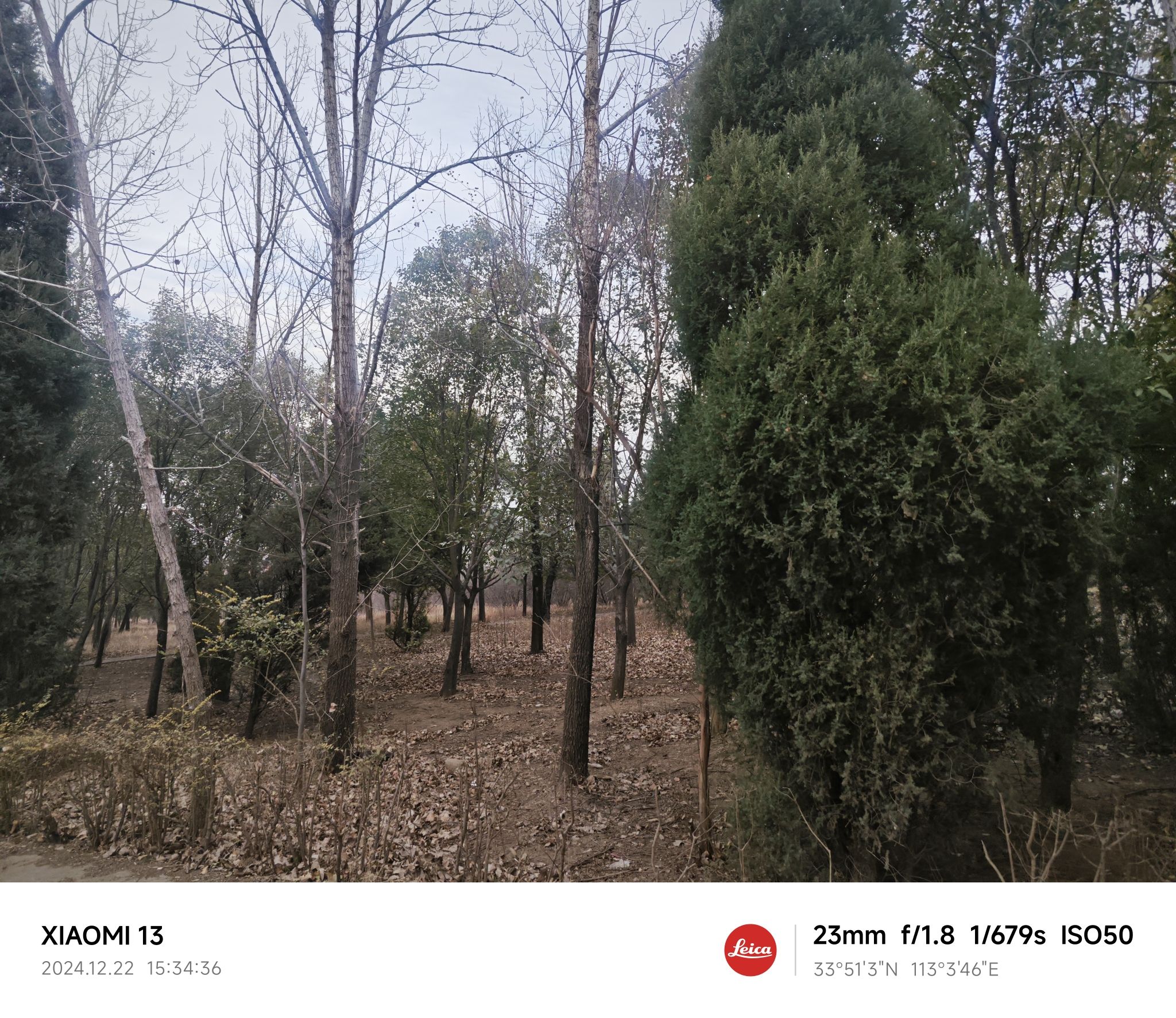 文笔山森林公园旅行图片 2