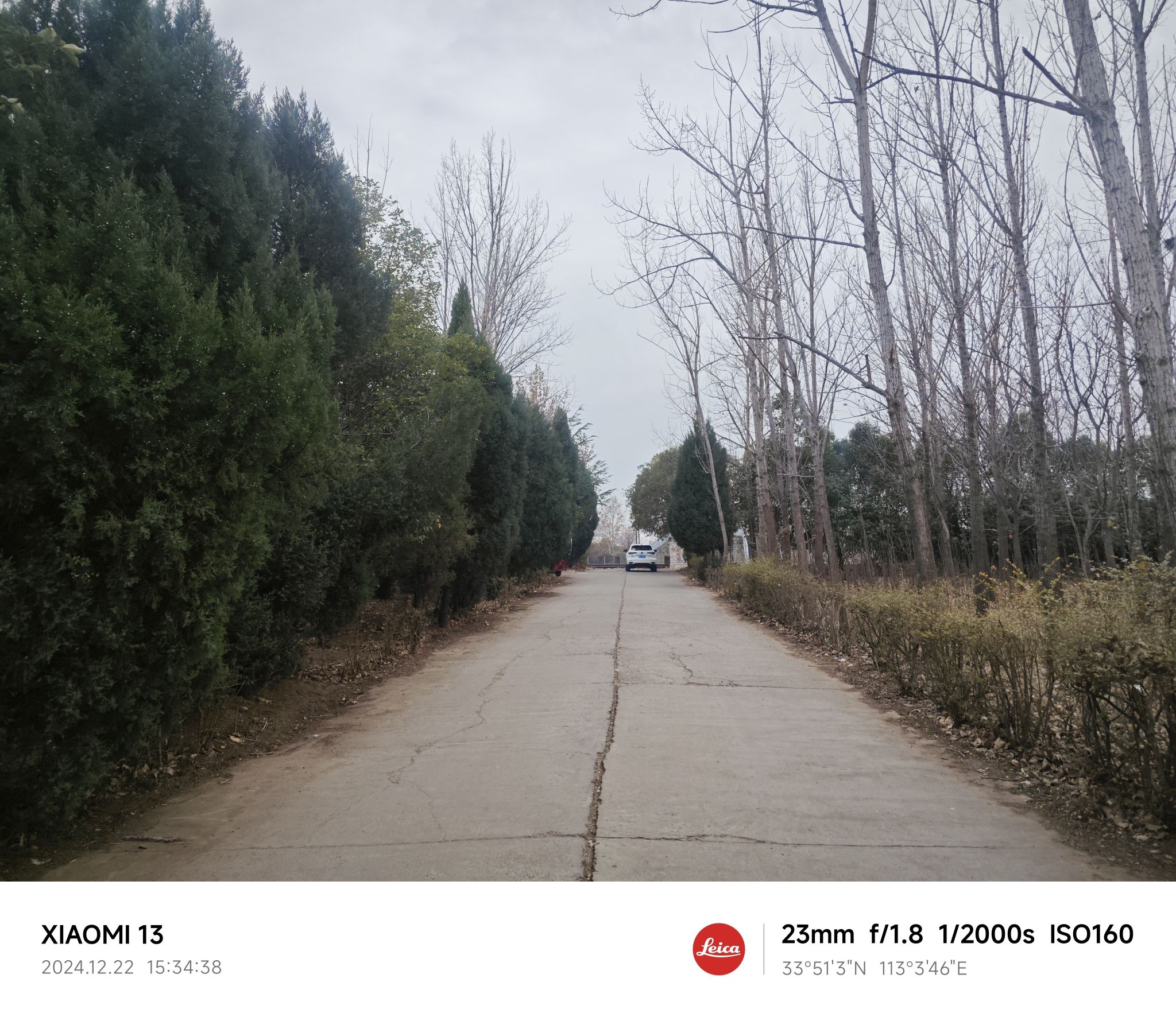 文笔山森林公园旅行图片 3