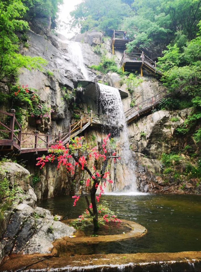 画眉谷旅行图片 3