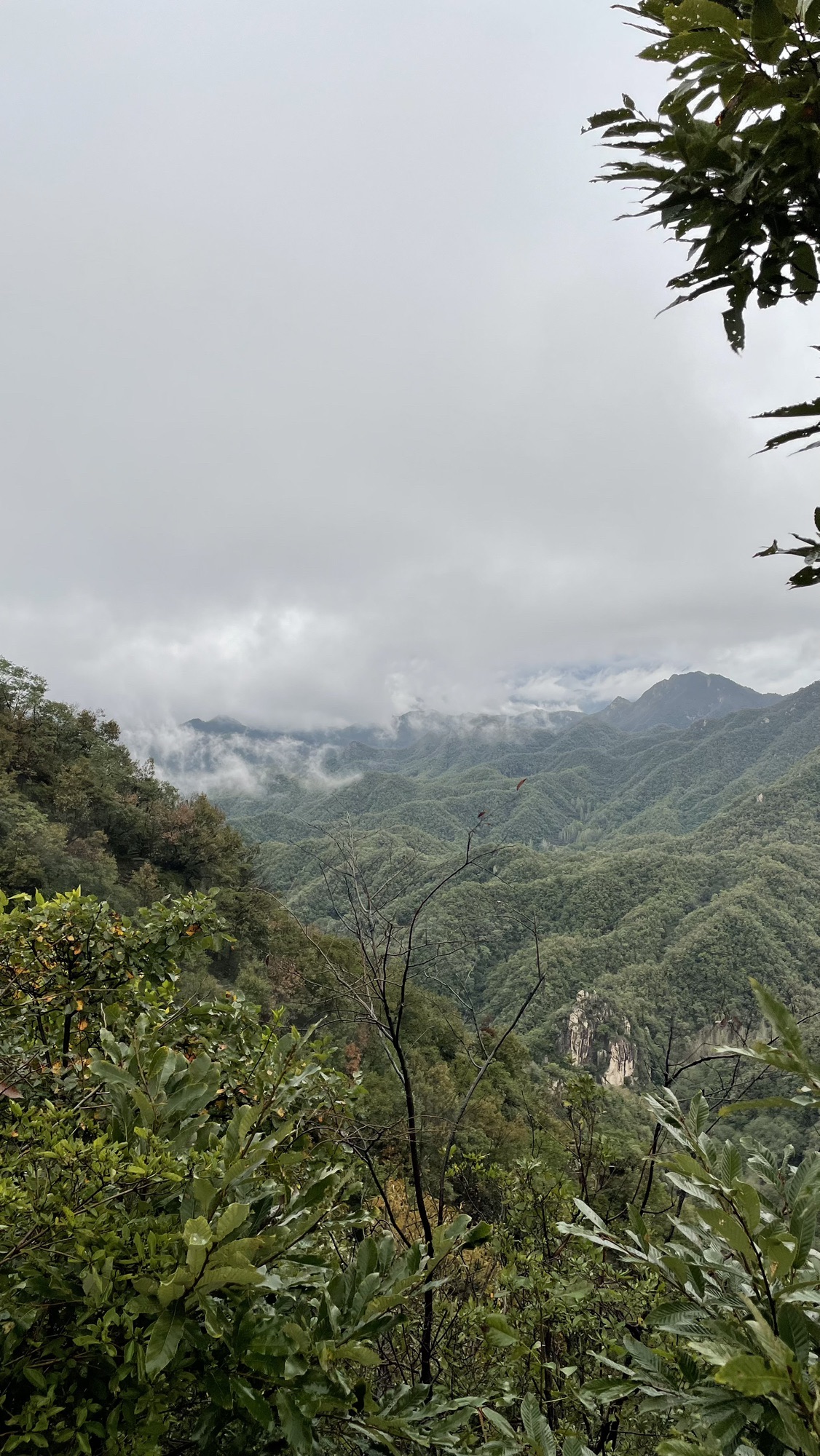 诗景龙潭峡旅行图片 1