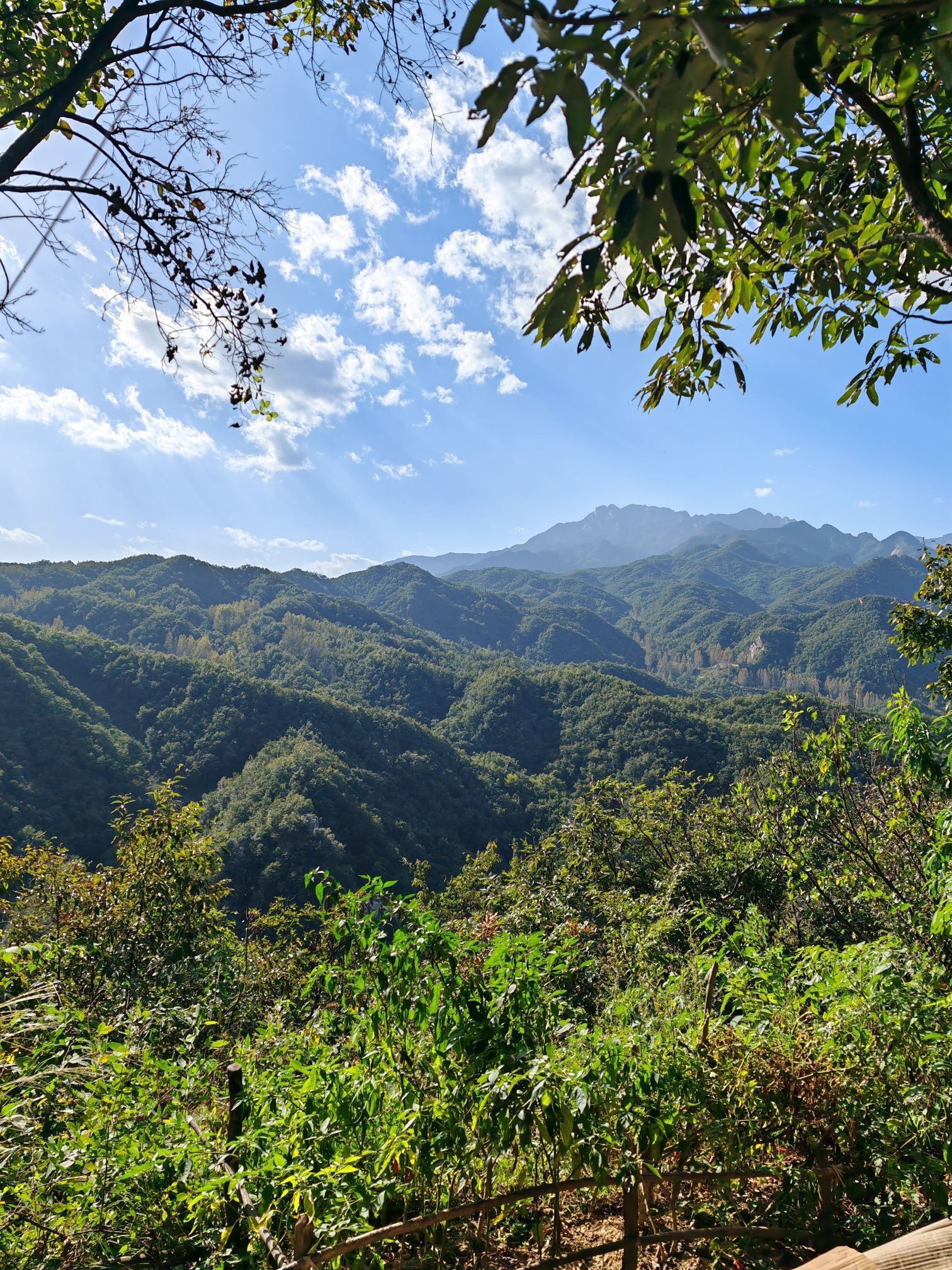 诗景龙潭峡旅行图片 1