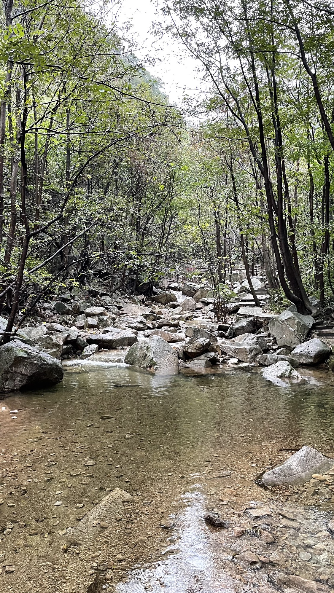 诗景龙潭峡旅行图片 3