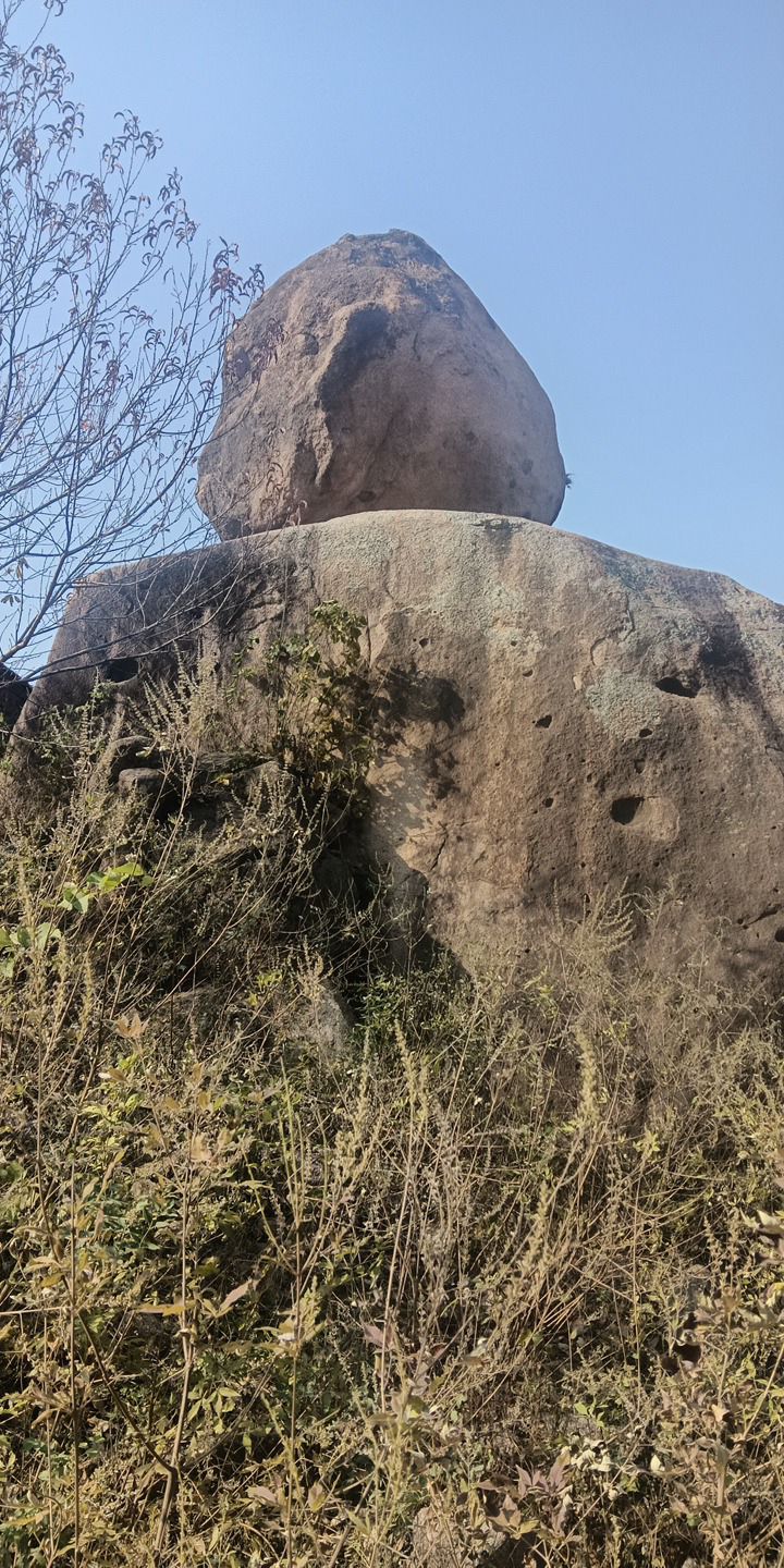 河南省舞钢市庙街乡九龙茶乡景区旅行图片 1