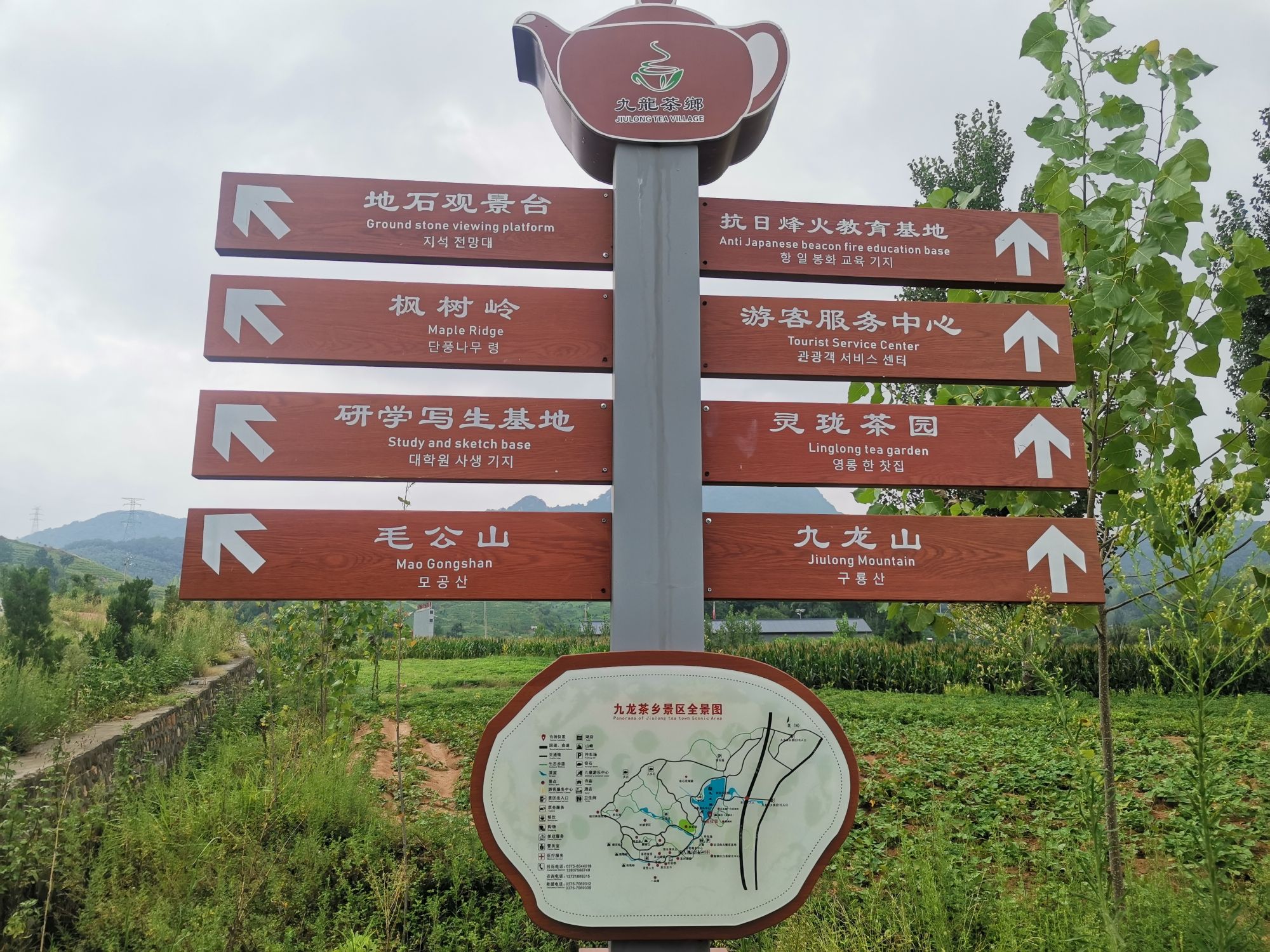 河南省舞钢市庙街乡九龙茶乡景区旅行图片 2