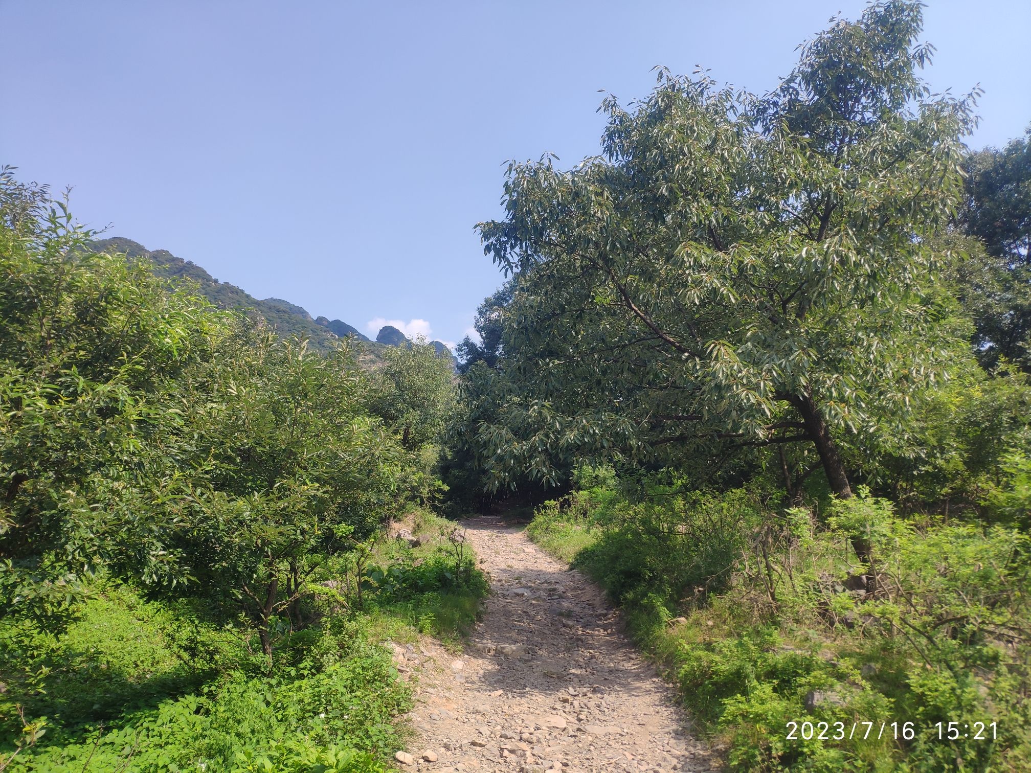 五峰山景区旅行图片 2