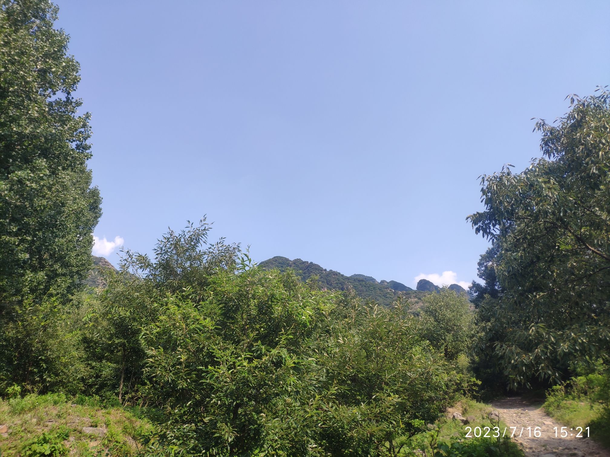 五峰山景区旅行图片 3